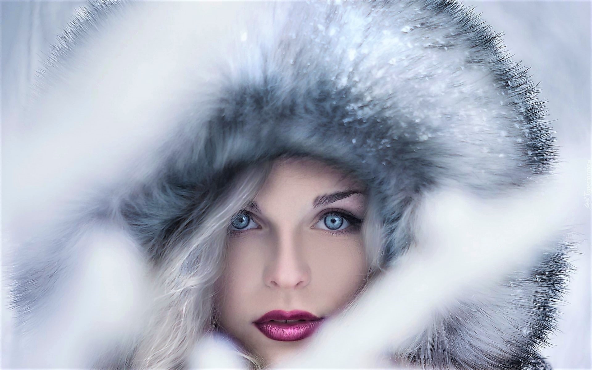 beauty, hairstyle, depth of field, looking at camera, long hair, blue eyes, body part, fur hat, adult, headshot, young adult, women, portrait, 1080P, makeup, HD Wallpaper