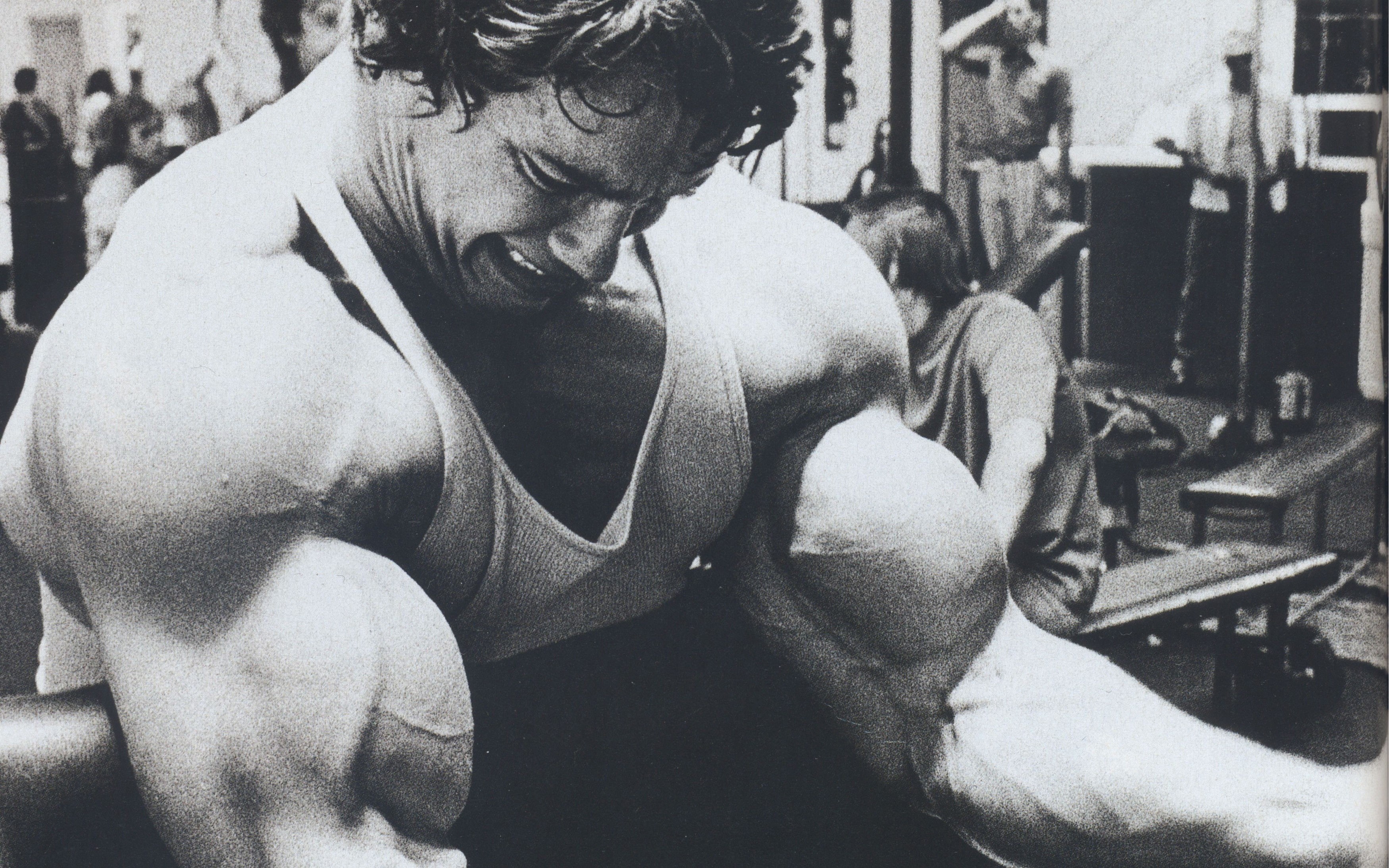 2K, Bodybuilder, Schwarzenegger, Arnold, HD Wallpaper