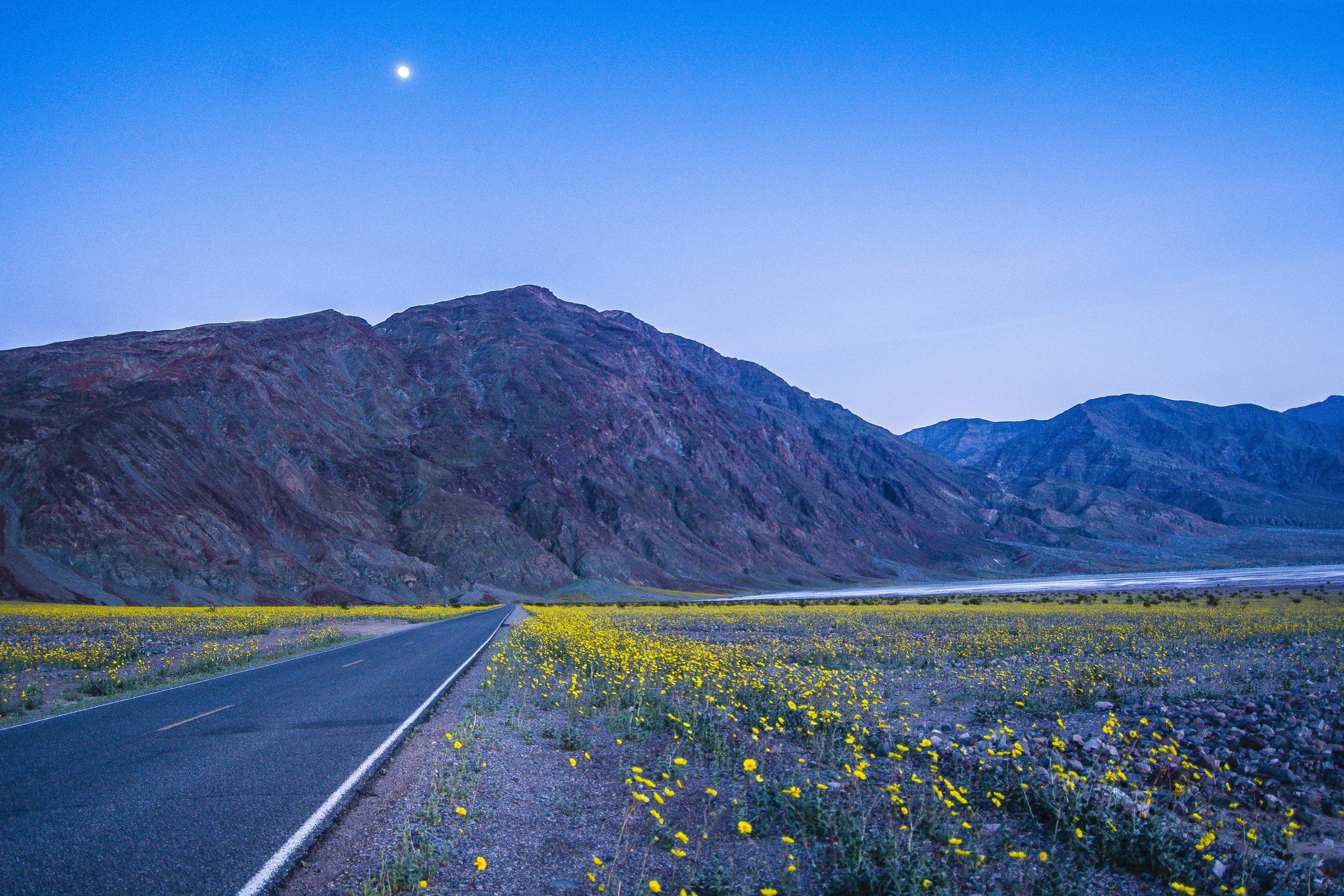 highway, outdoors, desert, paved, field, lonely, serene, petaled, Moonlight Drive, asphalt, nikon, near, road, mountain, nature, travel, mojave  california, HD Wallpaper