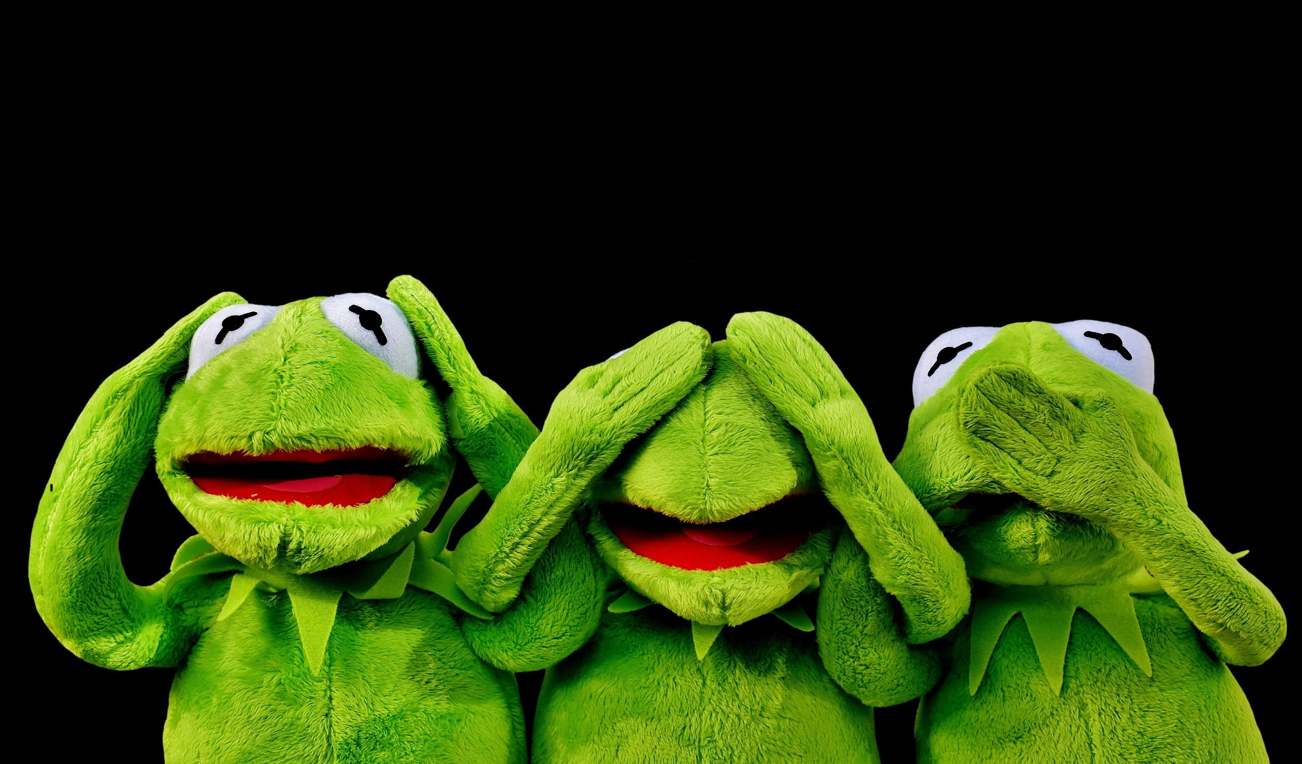 close-up, indoors, copy space, studio shot, not hear, kermit, one animal, lizard, green, still life, do not speak, sit, animal wildlife, three, frogs, reptile, HD Wallpaper