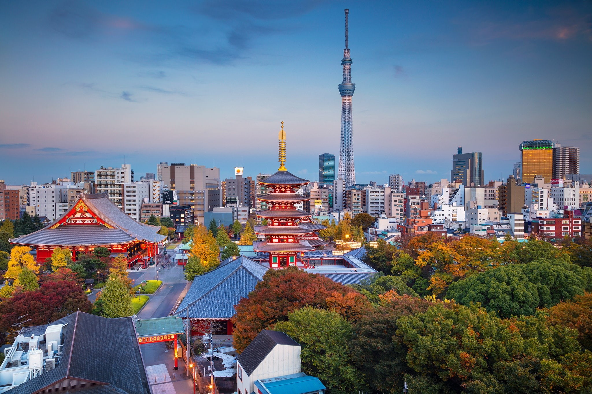 Japan, panorama, Tokyo, home, tower, 1080P, autumn, HD Wallpaper