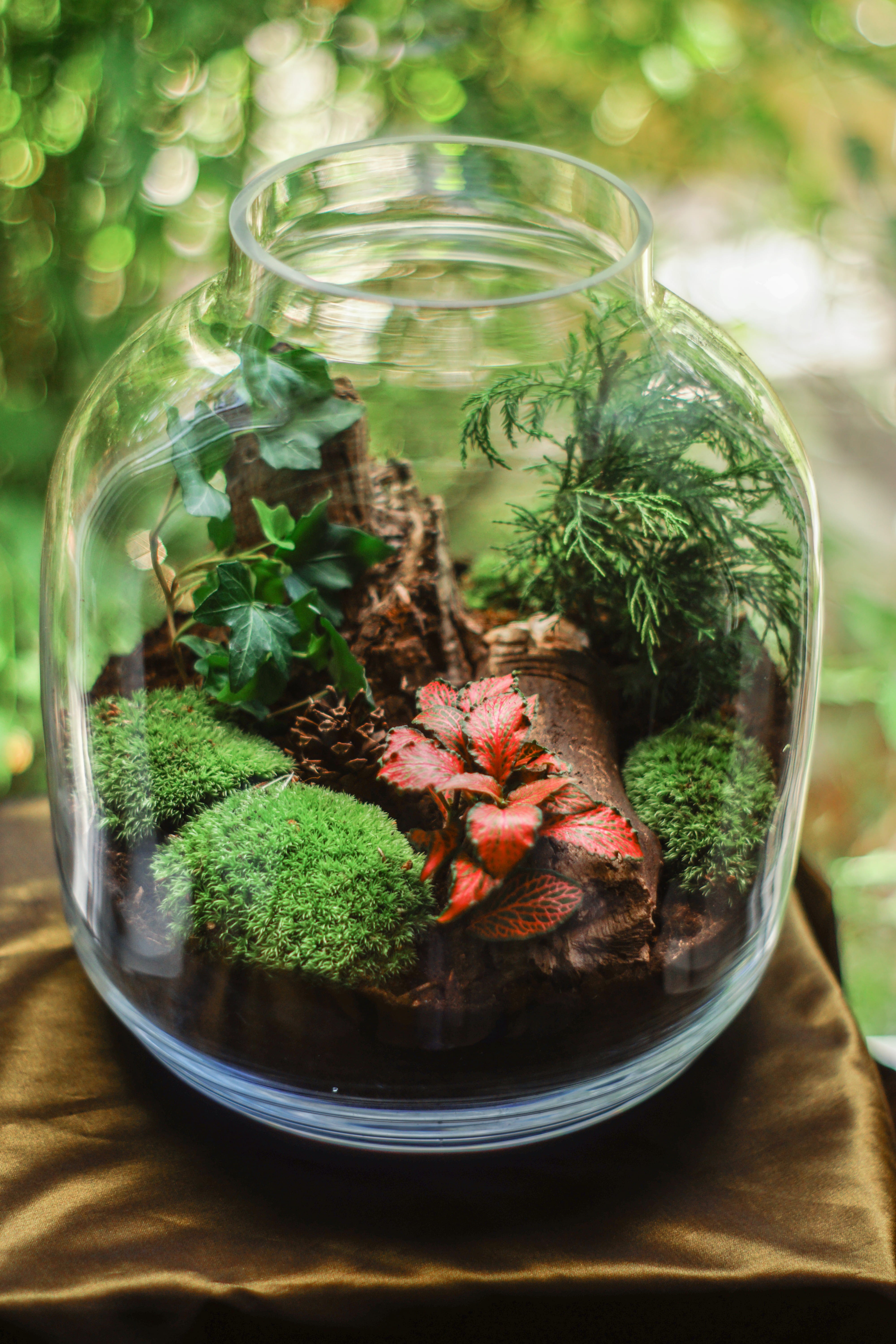 leaf, food, nature, freshness, 5K, still life, ready-to-eat, indoors, vegetable, glass - material, close-up, plants, mossy, food and drink, terrarium, Phone HD Wallpaper