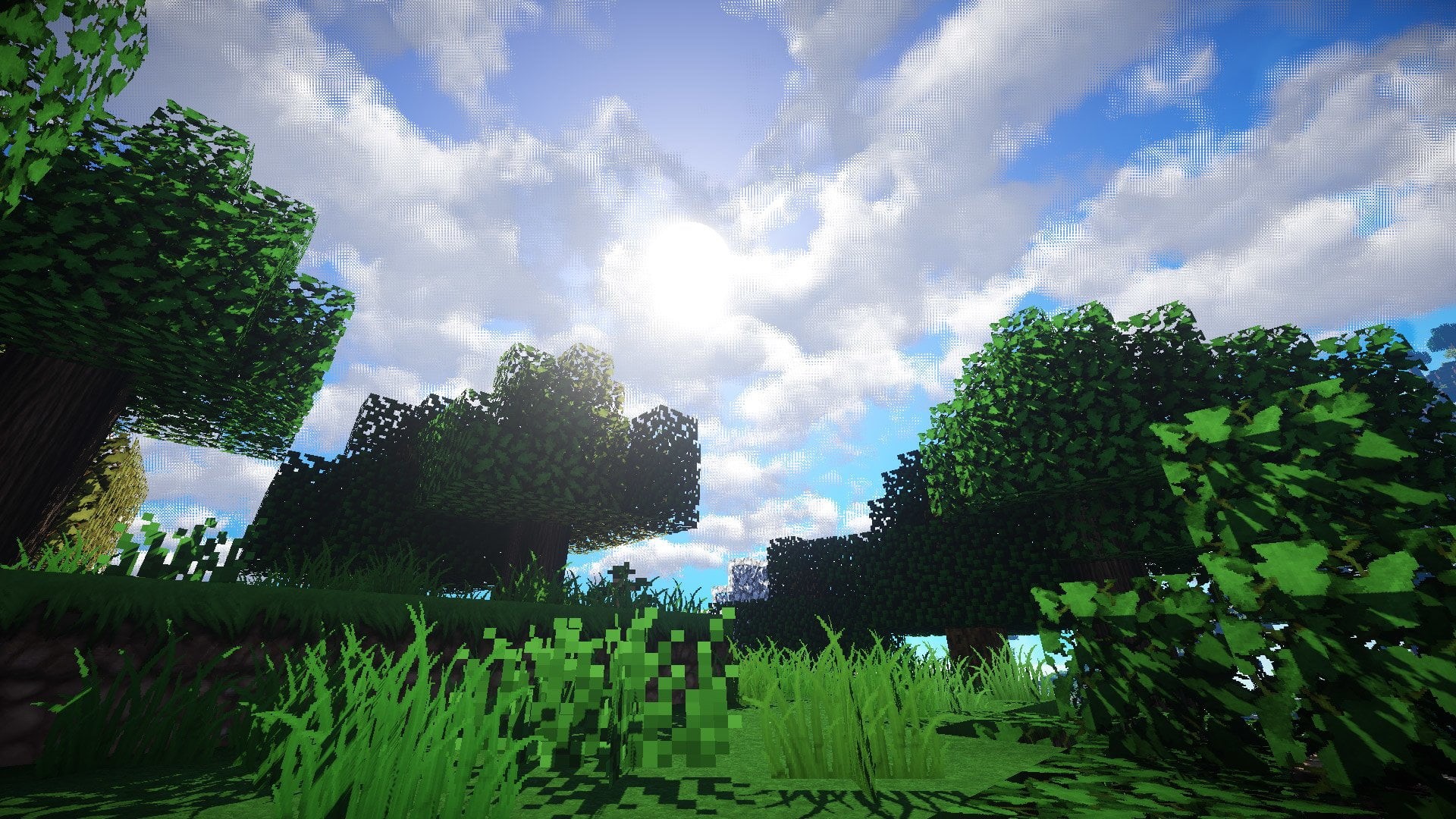 Video Game, beauty in nature, plant, day, land, green color, nature, growth, Sky, Minecraft, no people, tree, tranquil scene, scenics - nature, Mojang, HD Wallpaper