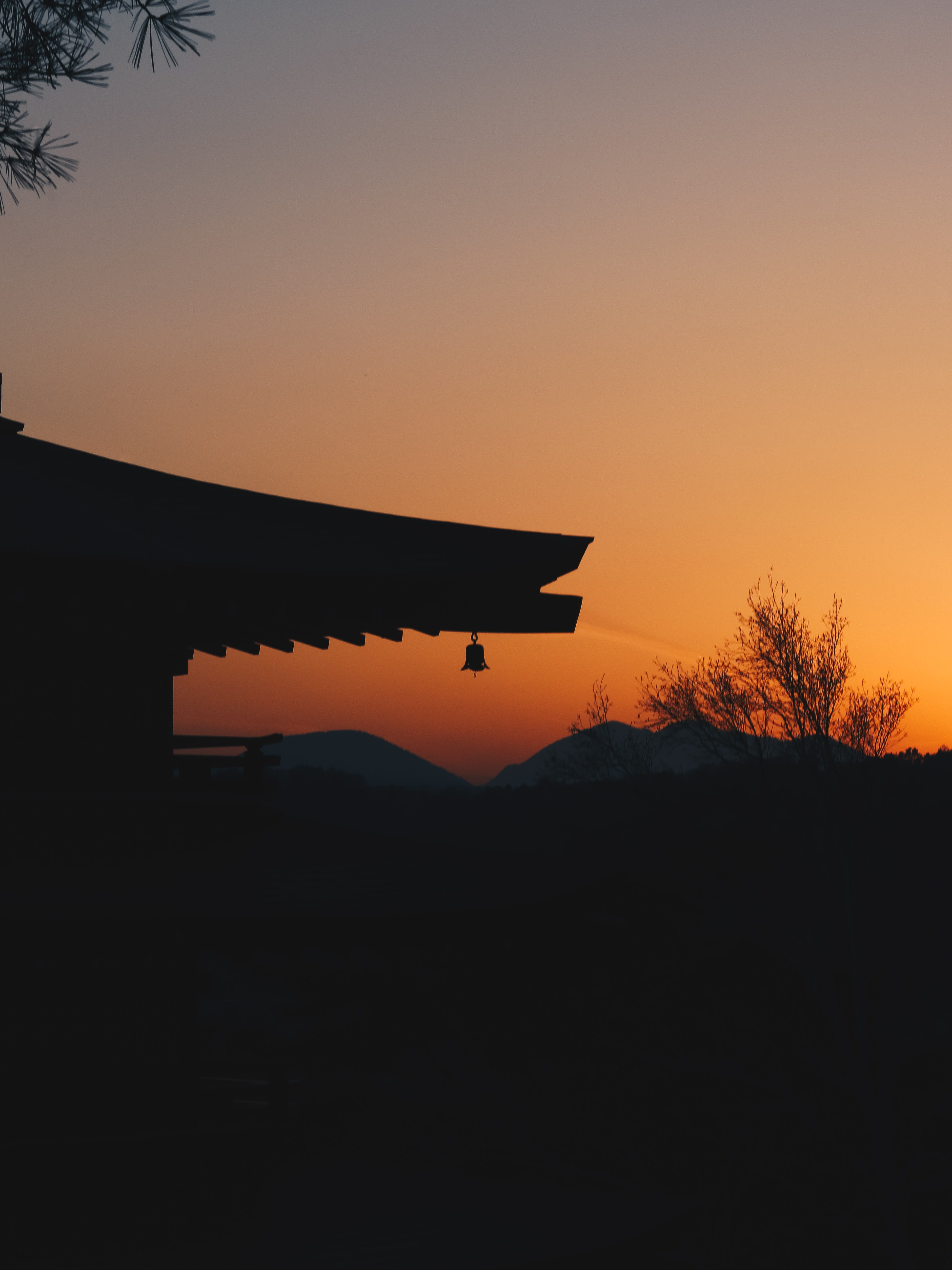 no people, silhouette, fujiyoshida-shi, environment, sunset, pagoda, mountain, temple, buddhist, air vehicle, plant, chureito, outdoors, scenics - nature, Phone HD Wallpaper