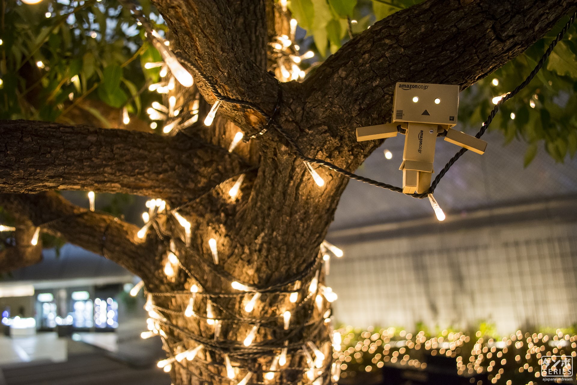 Tokyo, spirituality, illuminated, christmas lights, celebration, Amazon, Japanese Garden, religion, outdoors, Japan, Osaka, hanging, no people, branch, HD Wallpaper