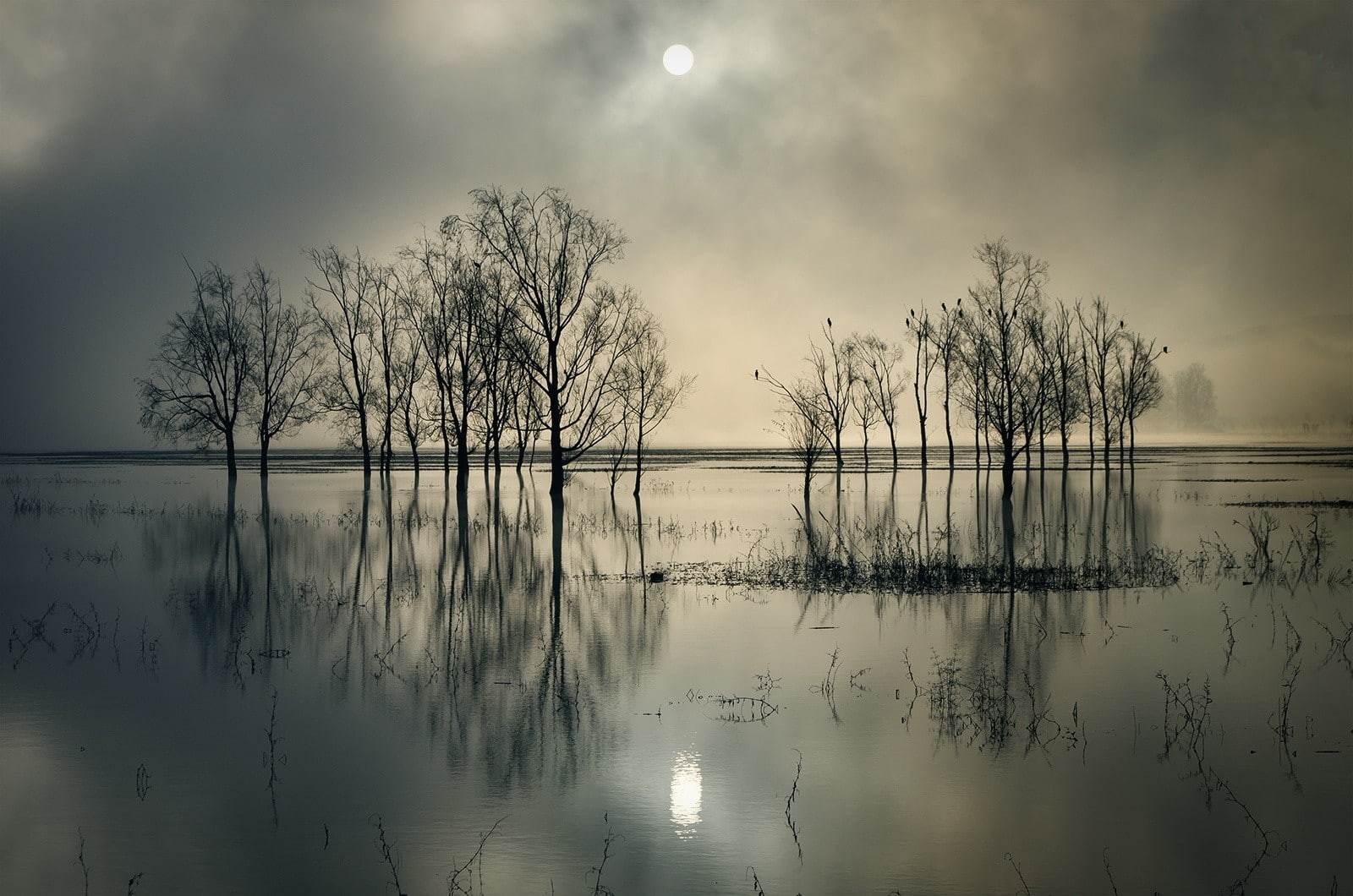 trees, sunset, lake, scenics - nature, idyllic, cloud - sky, reflection, 720P, beauty in nature, nature, reflection lake, waterfront, non-urban scene, HD Wallpaper