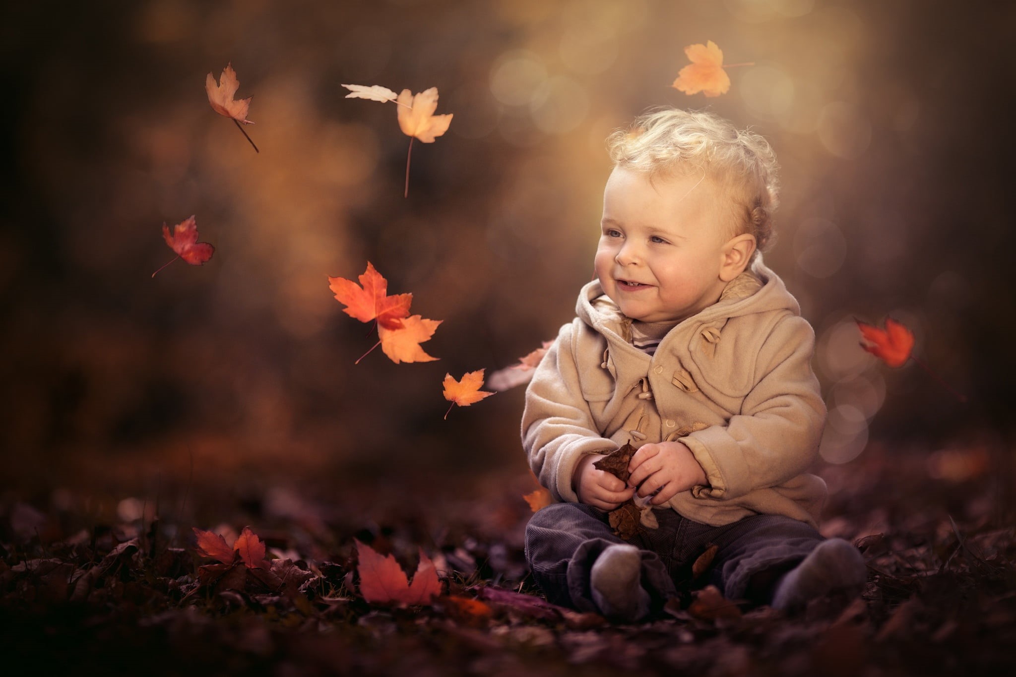 leaves, boy, jacket, pants, baby, bokeh, nature, autumn, child, Paul Webb, 1080P, HD Wallpaper