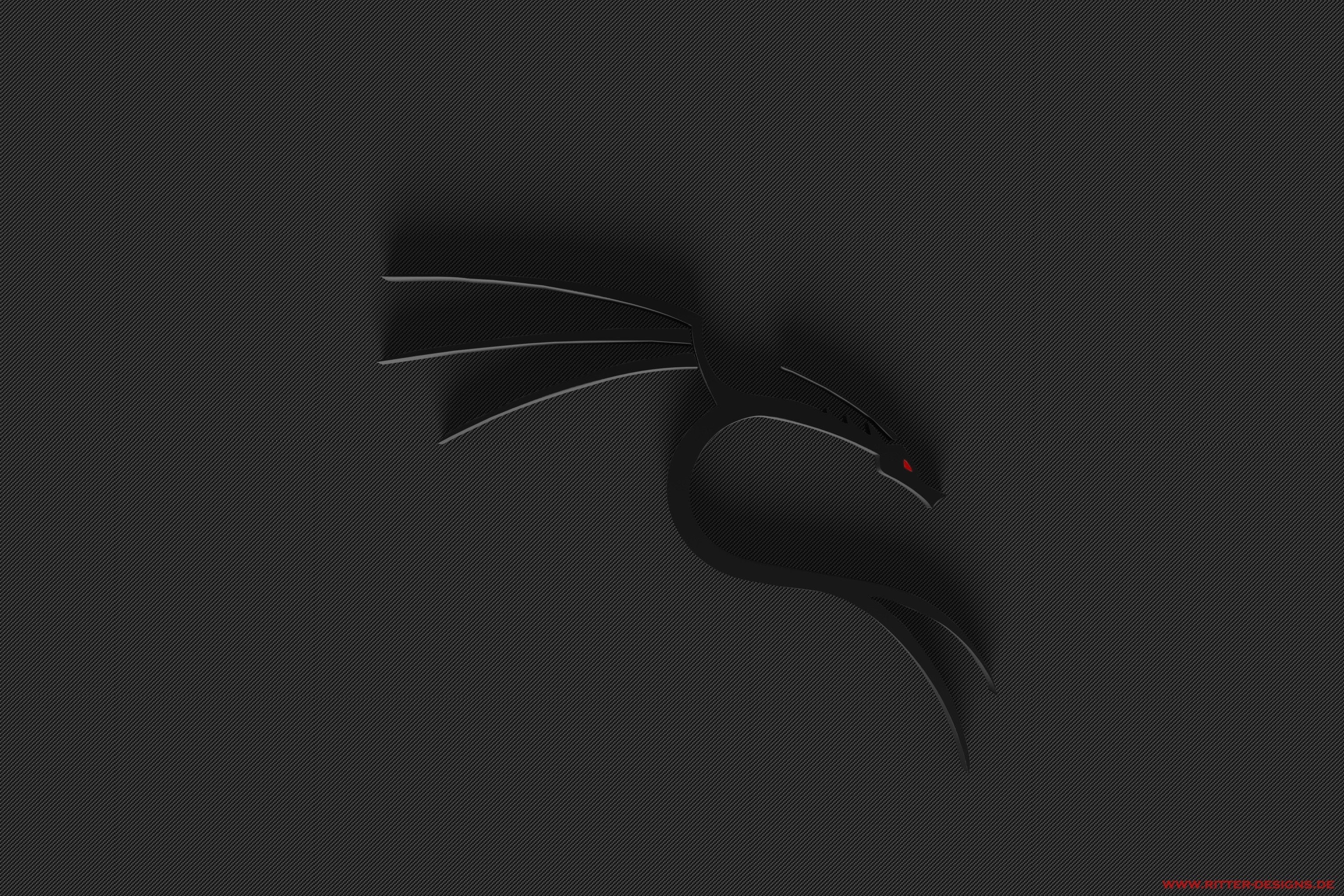 Kali Linux NetHunter, Kali Linux, Linux, 2K, HD Wallpaper