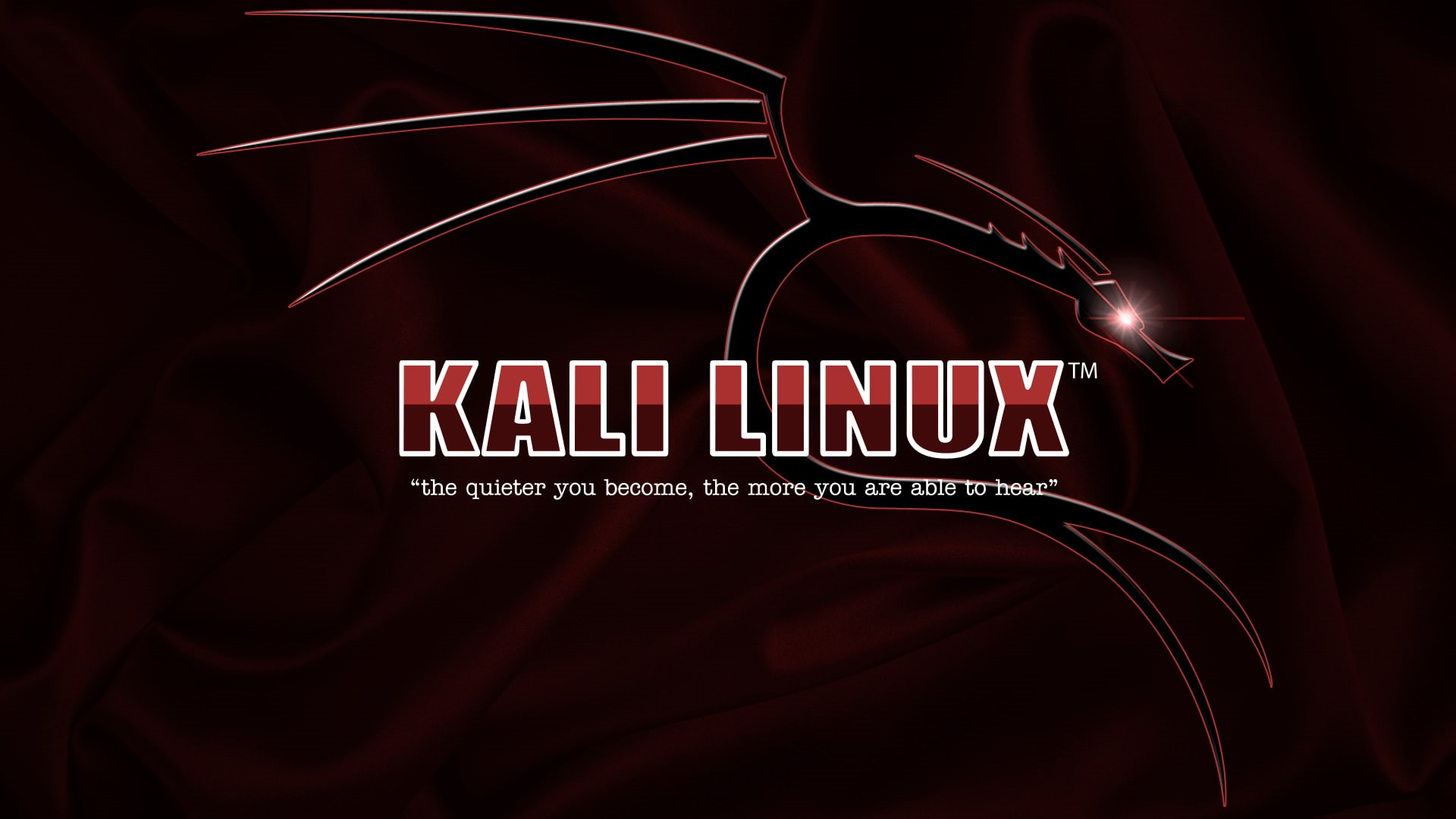 black background, communication, close-up, abstract, western script, arts culture and entertainment, movie theater, single object, studio shot, Kali Linux, HD Wallpaper