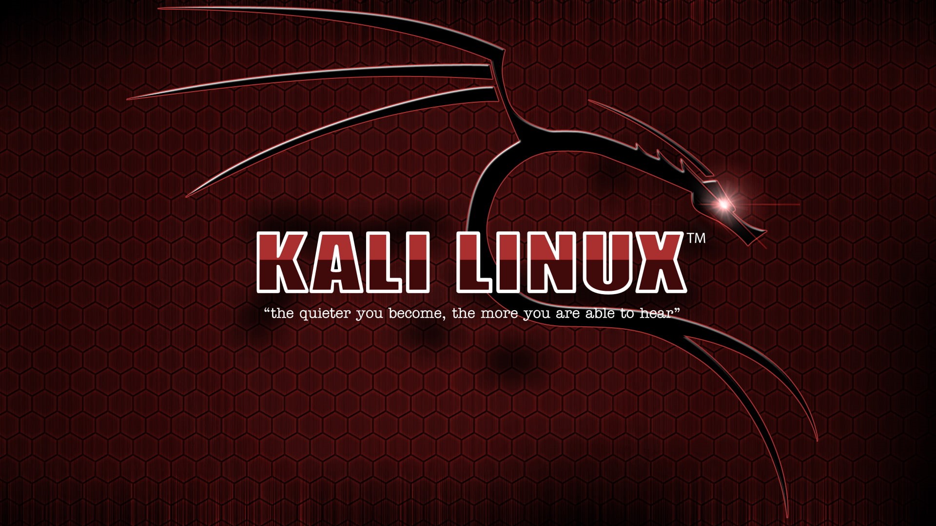 text, Kali Linux, sign, 1080P, striped, capital letter, archival, single word, no people, studio shot, indoors, message, close-up, colored background, HD Wallpaper