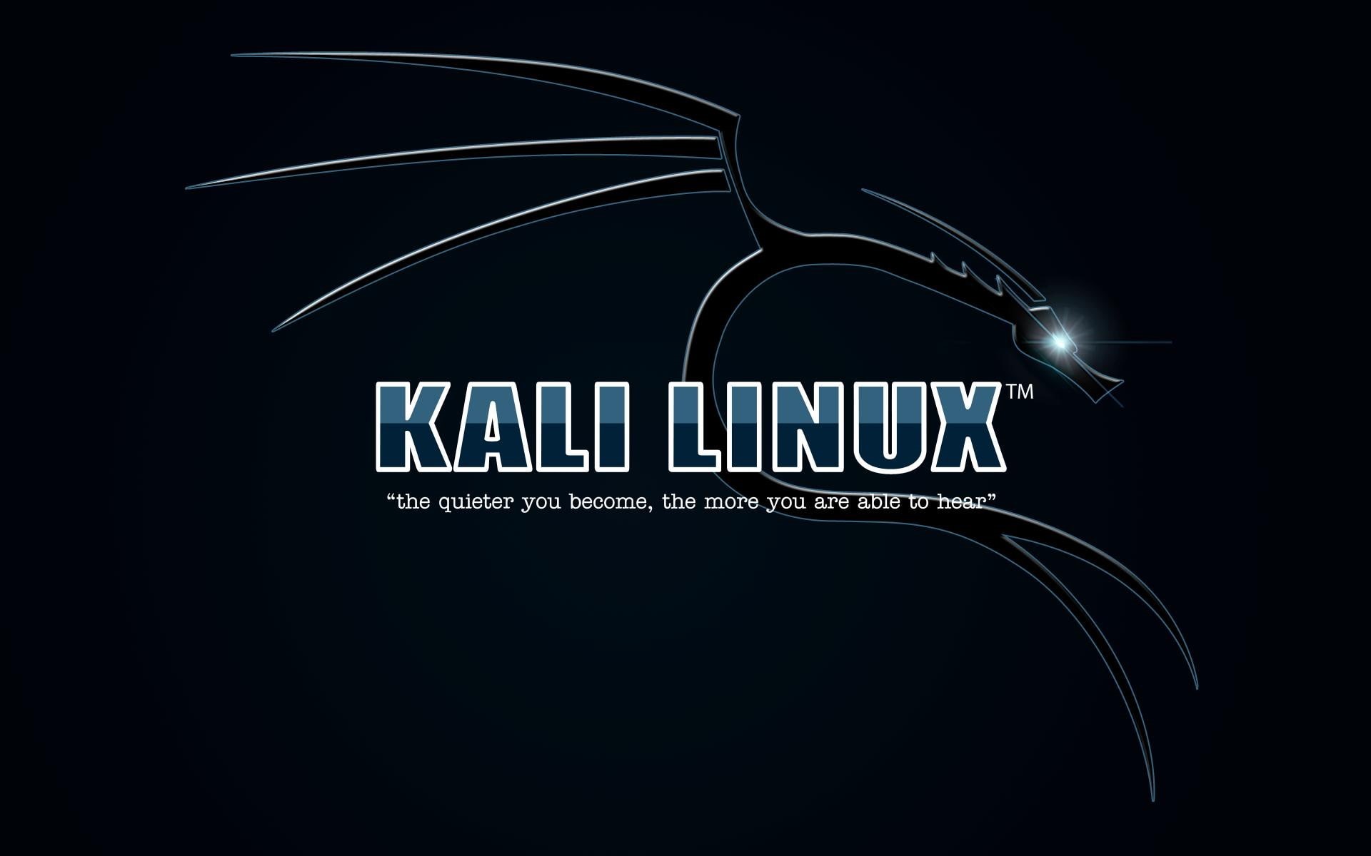 background, blue, dark, linux, kali, dark blue background, kali linux, 1080P, HD Wallpaper