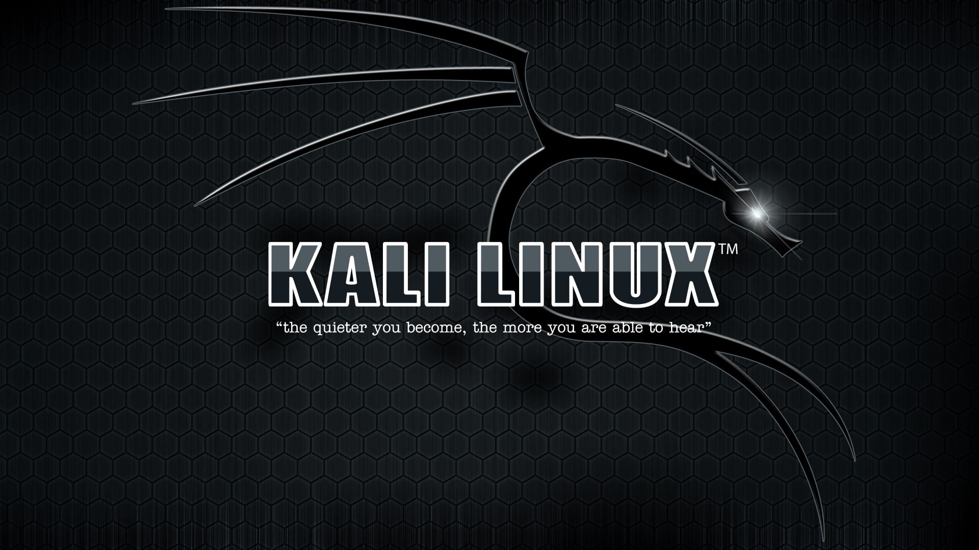 capital letter, indoors, no people, black color, single word, pattern, metal, text, western script, studio shot, communication, 1080P, Kali Linux, close-up, HD Wallpaper