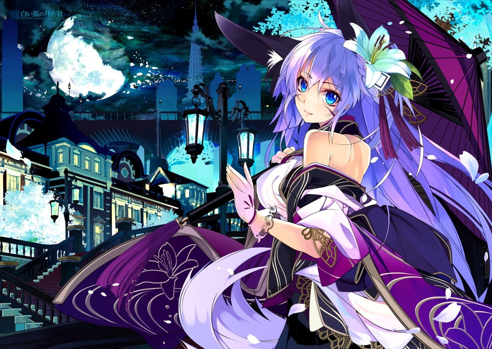 stars, Moon, night, 720P, tail, anime girls, anime, clouds, gloves, umbrella, animal ears, Japanese clothes, headdress, blue eyes, city, blue hair, HD Wallpaper