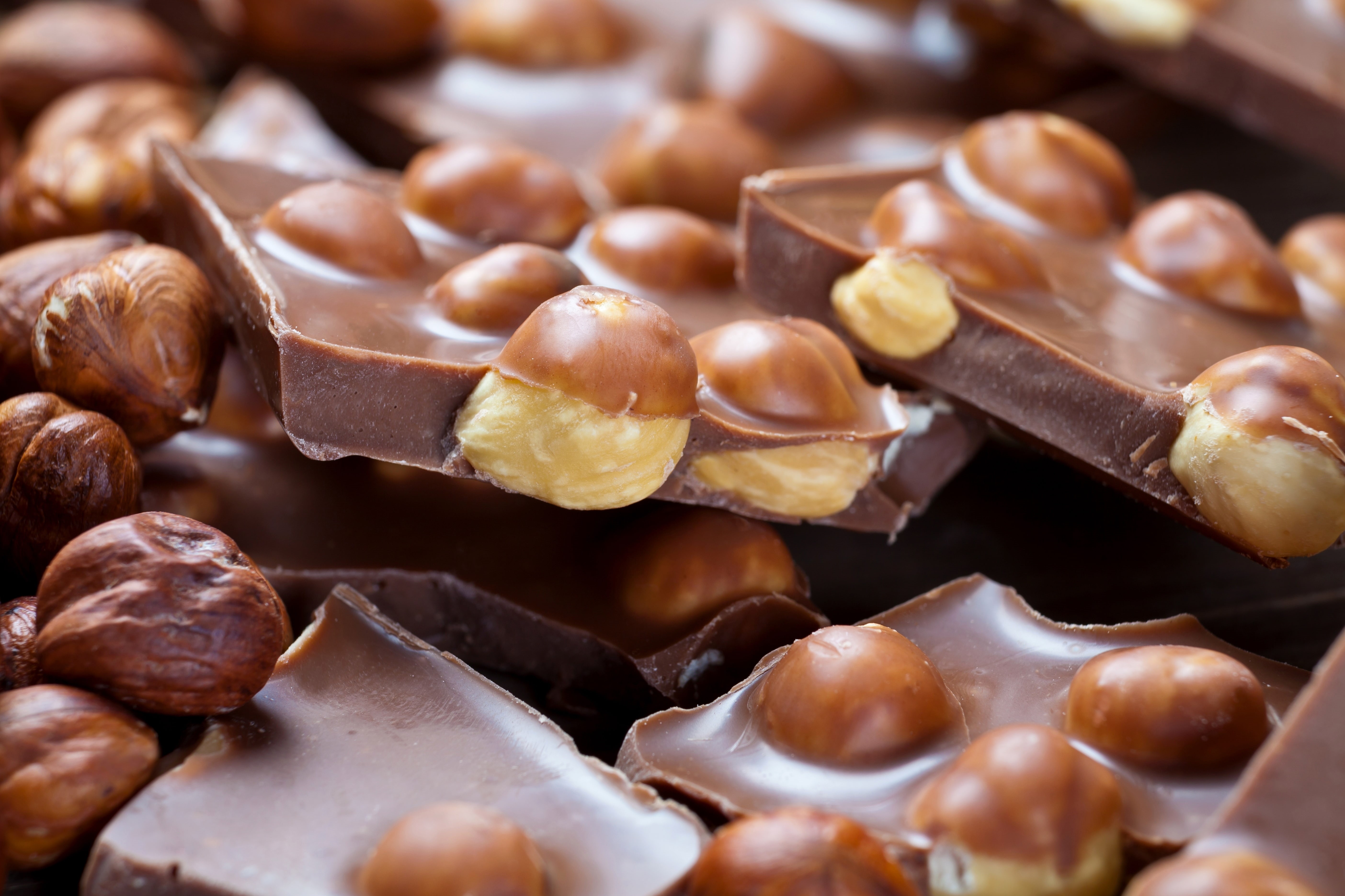 sweet food, forest, still life, close-up, food, 5K, indulgence, snack, indoors, hazelnuts, almonds, tray, bars, dessert, wellbeing, sweets, food and drink, HD Wallpaper