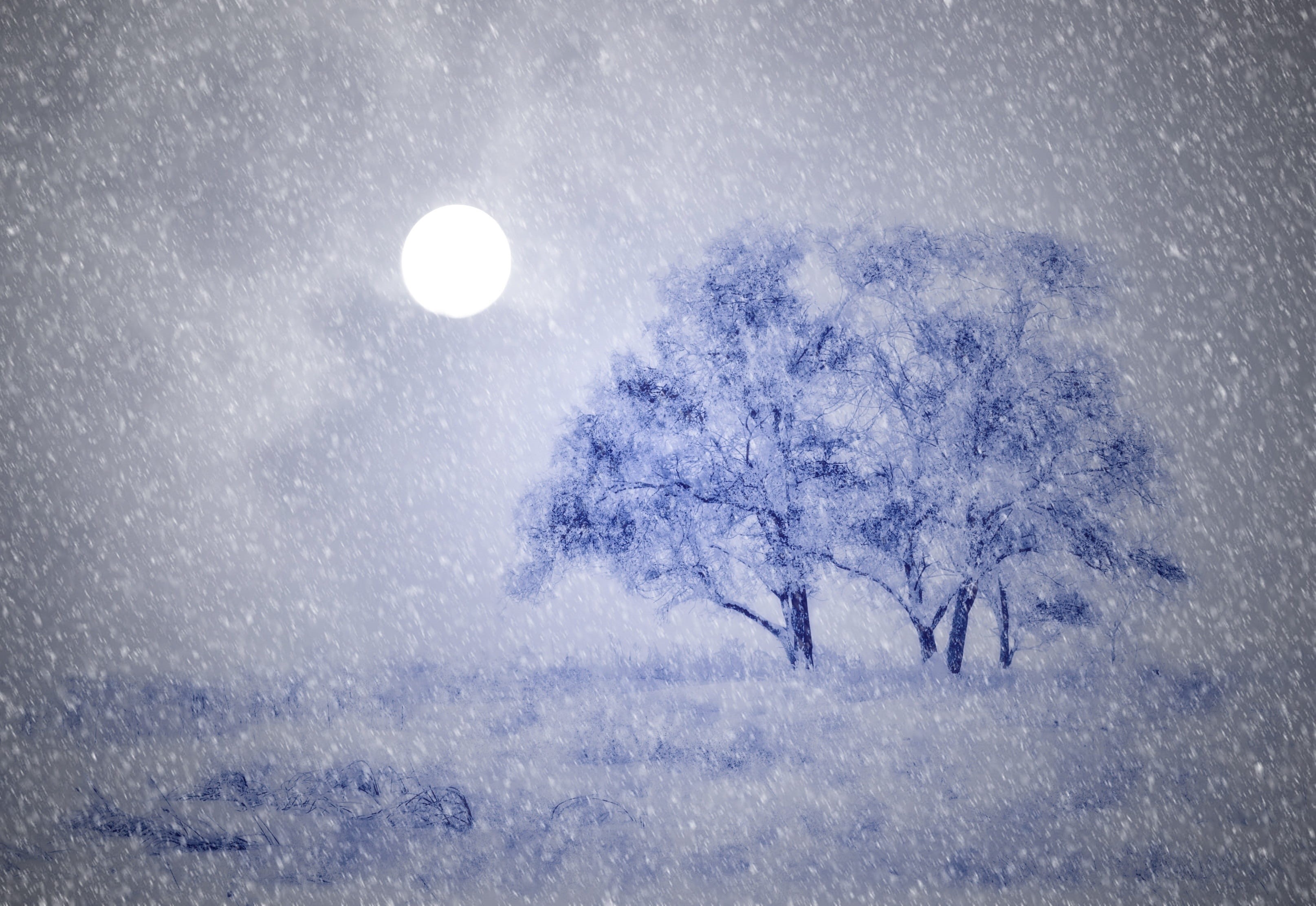 night, frozen, scenics - nature, black, sky, frost, tranquil scene, snowcapped mountain, snowing, snow flurry, outdoors, night time, two trees, white, weather, HD Wallpaper