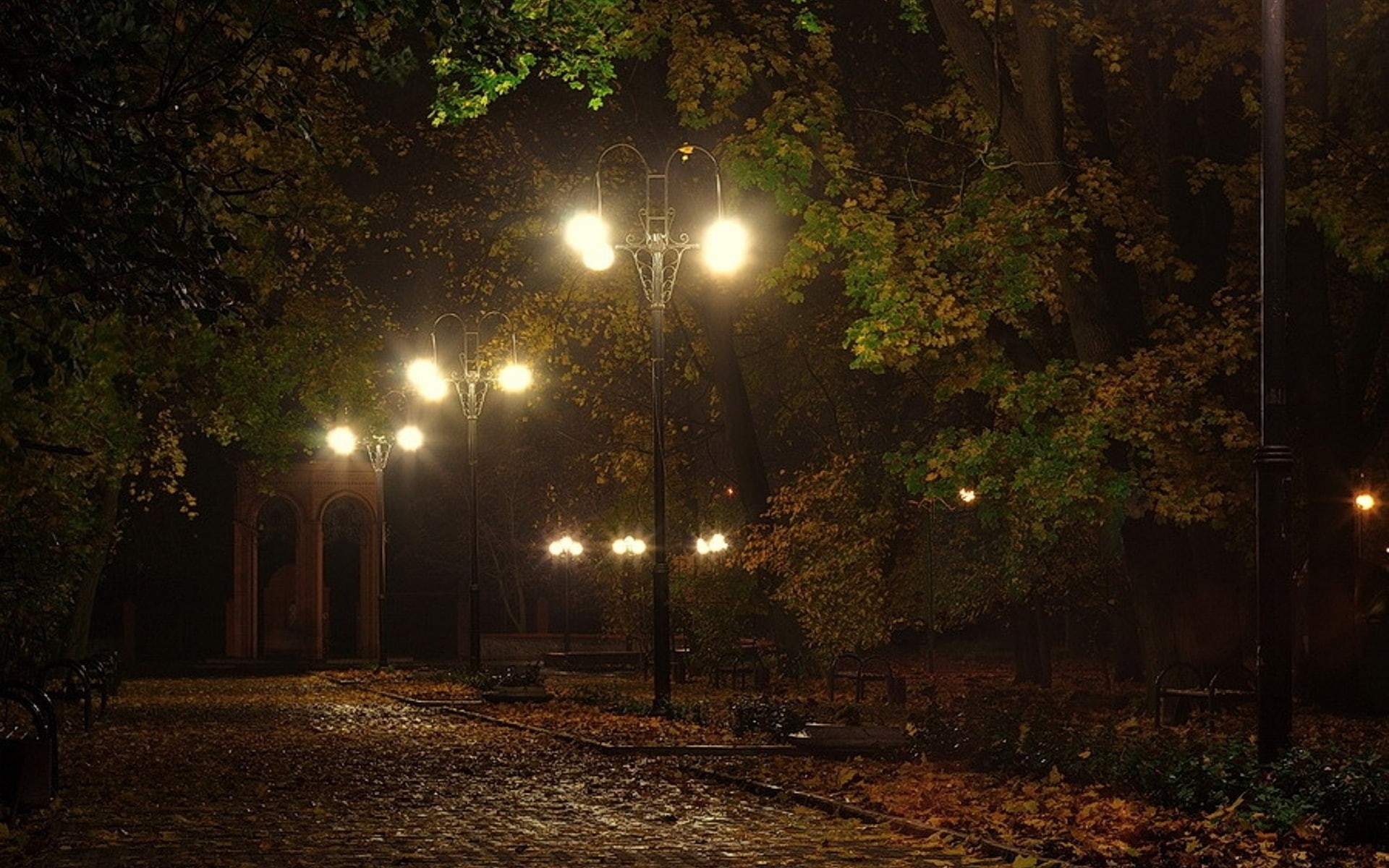 autumn, benches, lamps, pathways, landscapes, trees, roads, leaves, night, mood, seasons, lanes, fall, lamp posts, lights, 1080P, HD Wallpaper