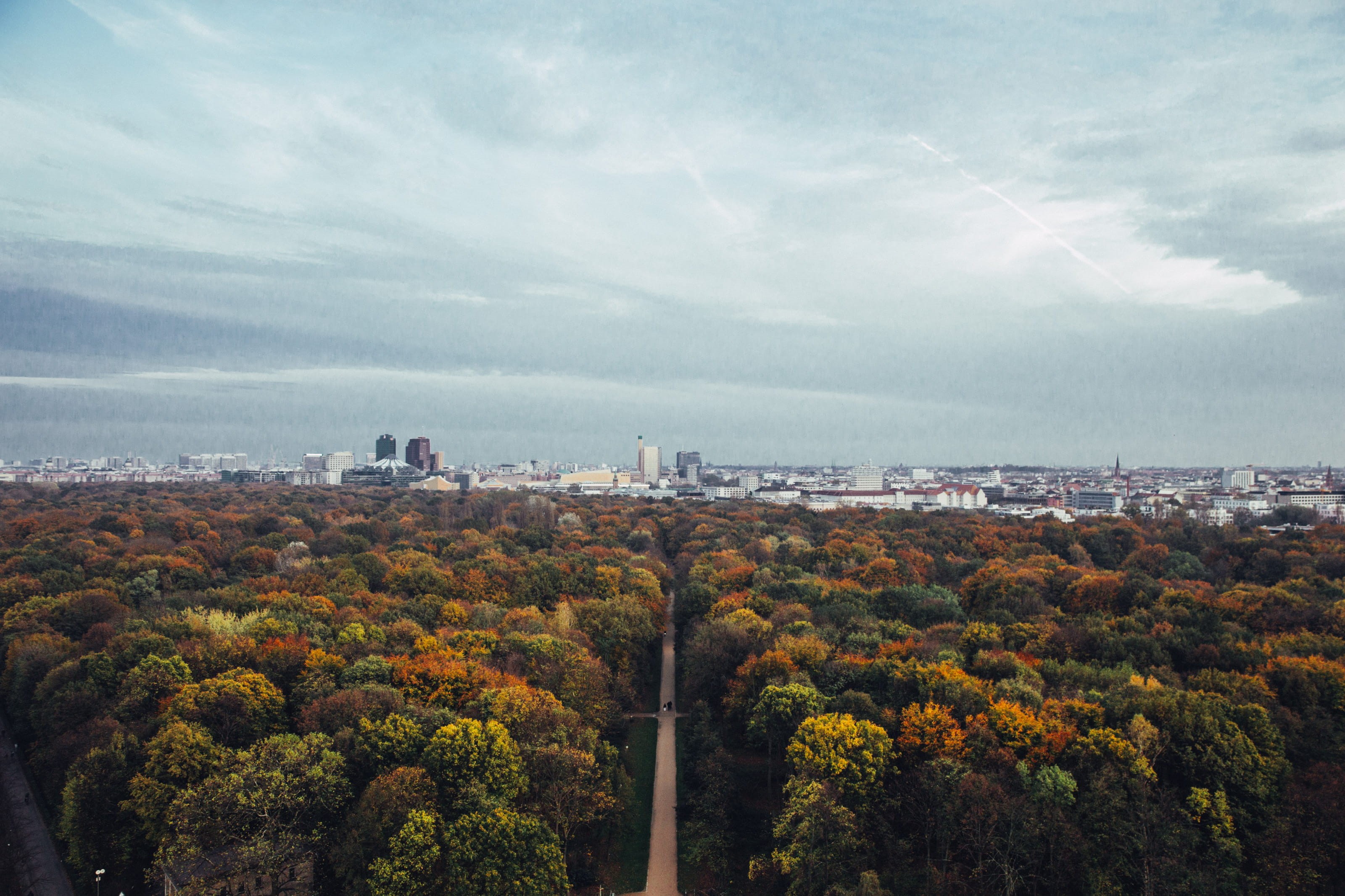 environment, skyline, architecture, road, grass, season, water, red, 2K, outdoor, built structure, plant, leaves, cityscape, forest, abstract, tree, brown, HD Wallpaper