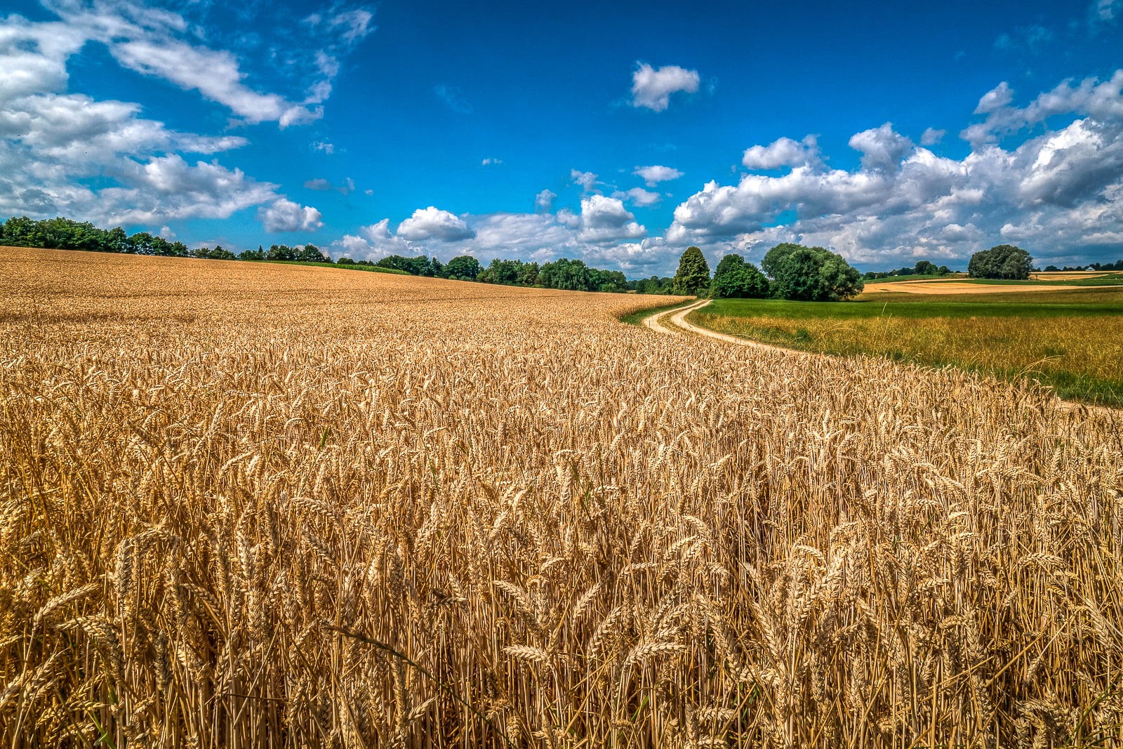 nature, harvesting, Acker, Wiese, brown field, 720P, Kornfeld, rural Scene, landscaped, blue, Sommer, Bayern, Endlich, Deutschland, Agriculture, cornfield, HD Wallpaper