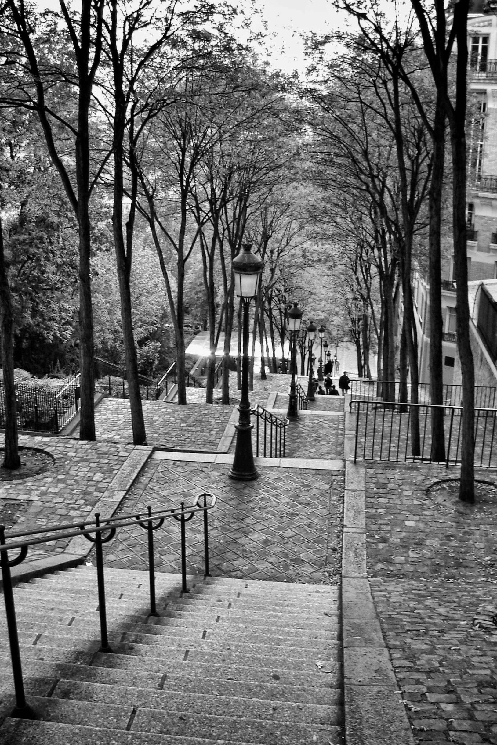 day, urban, plant, park bench, architecture, landmark, montmartre, famous, stairs, footpath, travel, railing, park, no people, architectural column, treelined, Phone HD Wallpaper