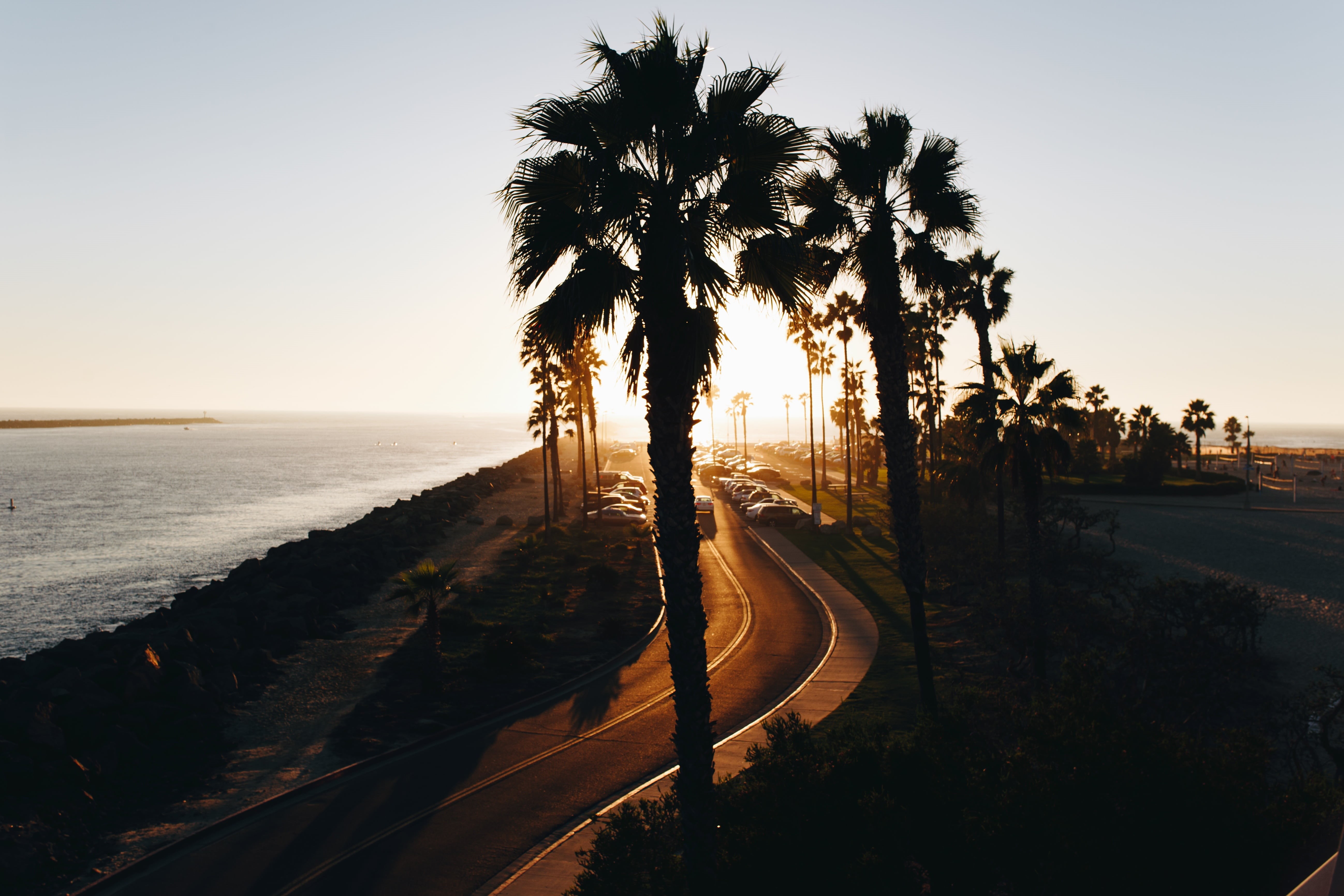 sky, palm, park, car, street, trip, tranquility, sunshine, water, tropical climate, tropical tree, beside, sunrise, sunlight, coast, coconut palm tree, HD Wallpaper