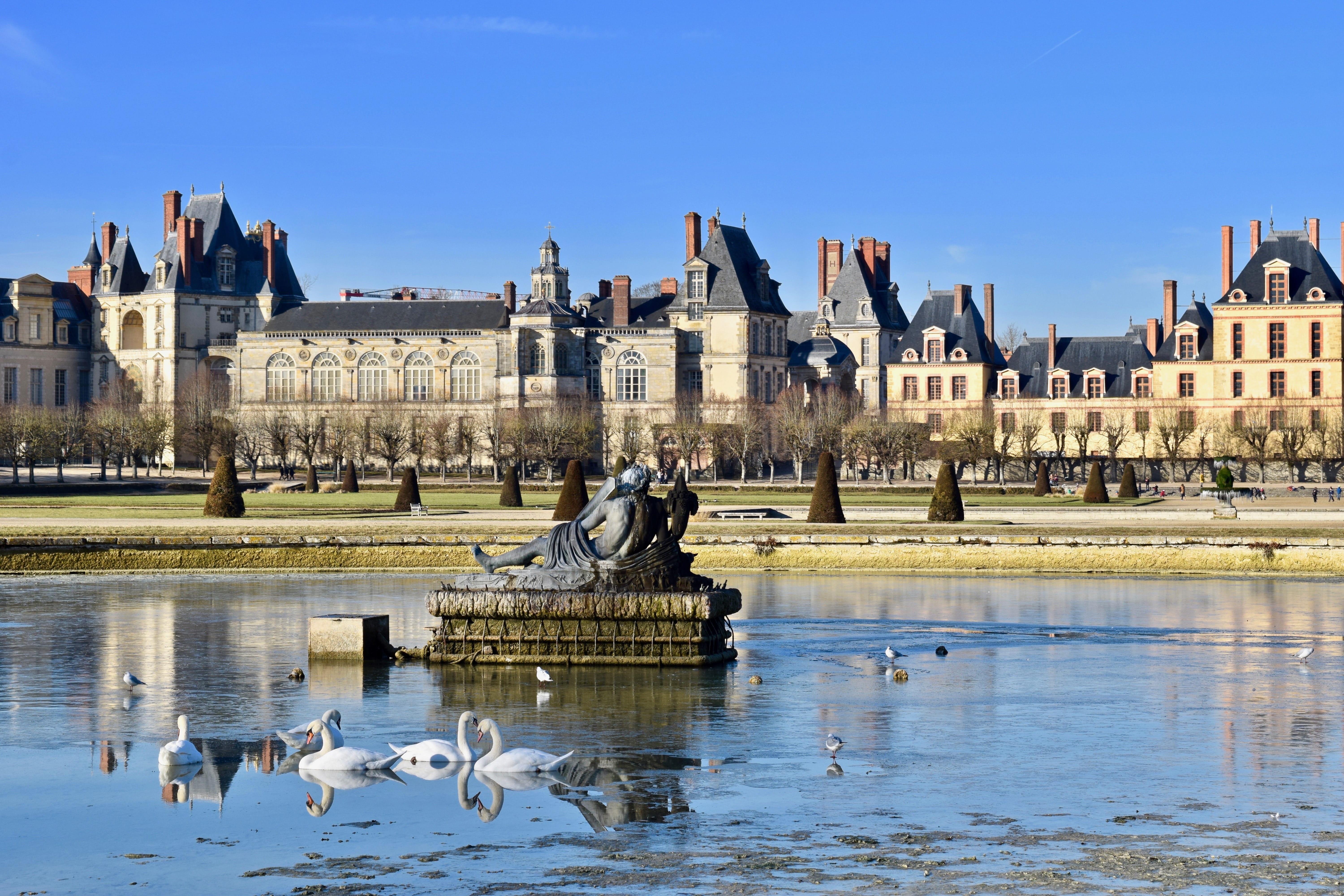 5K, swan, castle, building, outdoors, fontainebleau, france, animal wildlife, birds, fountainblaeu, animals in the wild, built structure, no people, history, HD Wallpaper