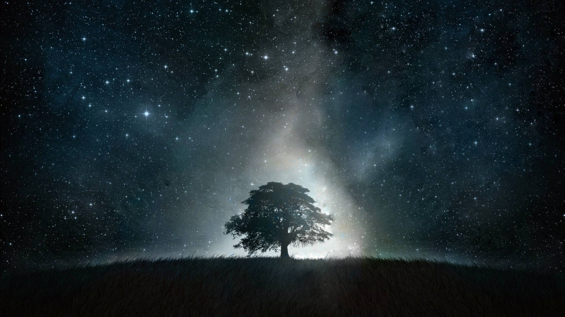 grass, Lights, px, sky, stars, x, Trees, art, animals, frogs, 1920x1080 px, hills, 1080P, Space, hd, HD Wallpaper