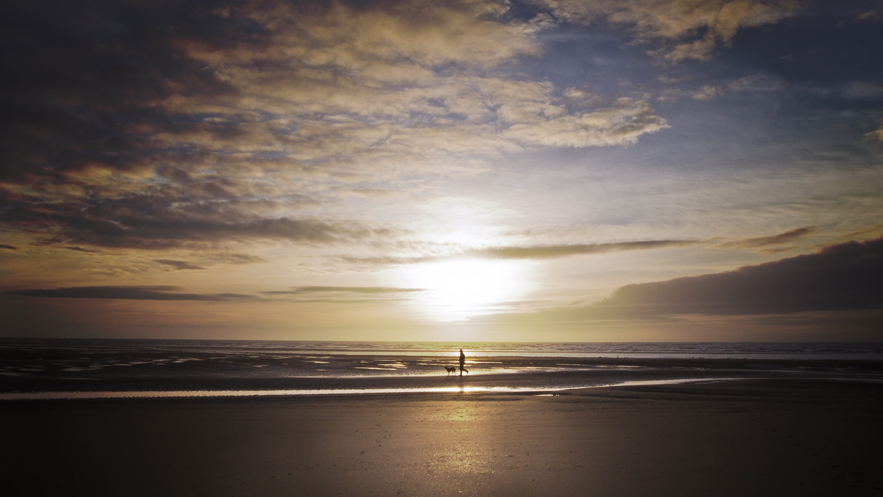 cloud - sky, silhouette, stroll, pet, scenic, dusk, waves, ocean, coast, dog, sunset, silhouettes, unrecognizable person, outdoors, beach, sea, sand, land, HD Wallpaper