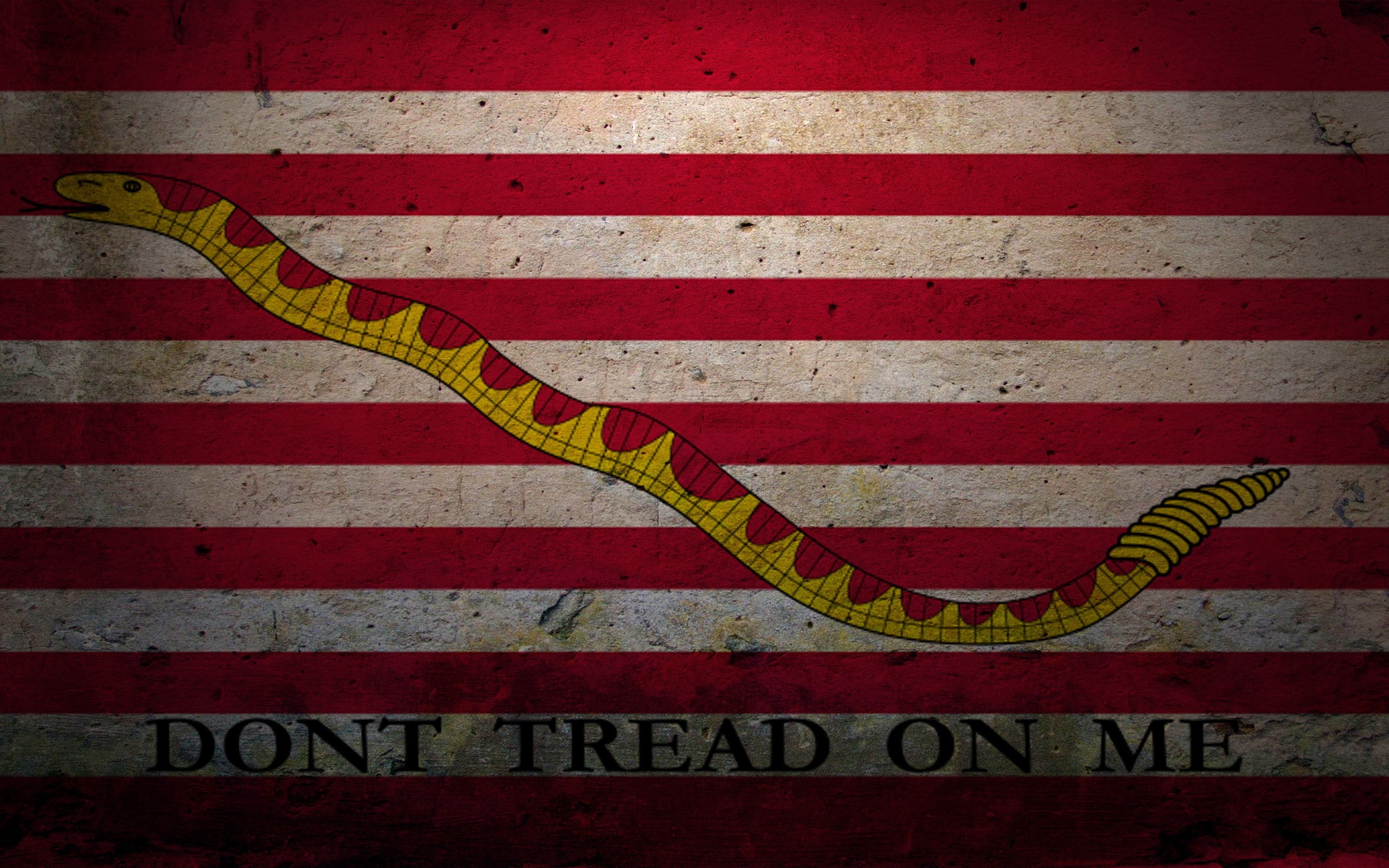 naval jack, libertarianism, flag, United States Navy, 2K, HD Wallpaper