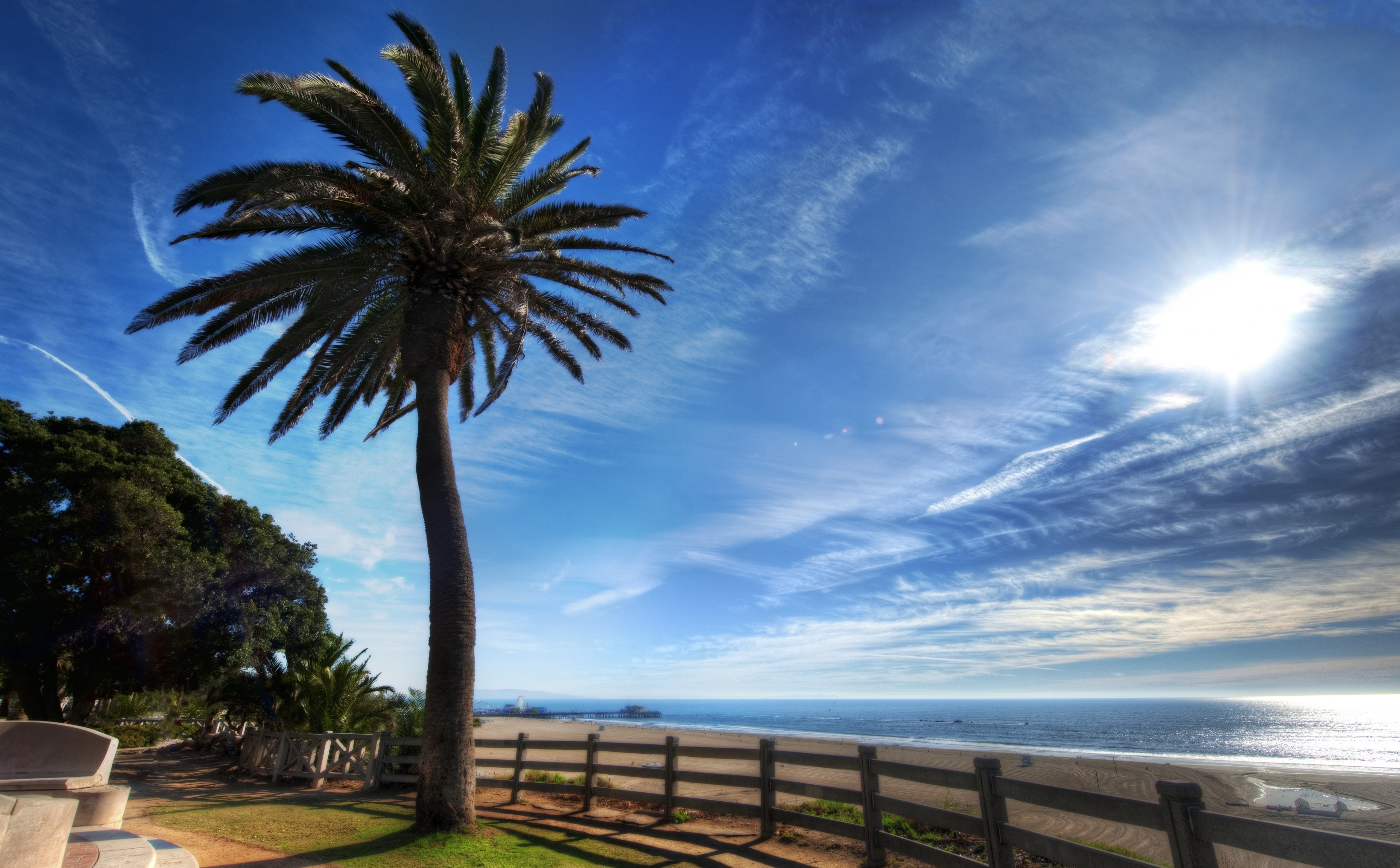 horizon, 5K, boulevard, santa, tree, United States, Santa Monica, water, palm tree, beauty in nature, green, sunlight, outdoors, California, plant, scenics - nature, HD Wallpaper