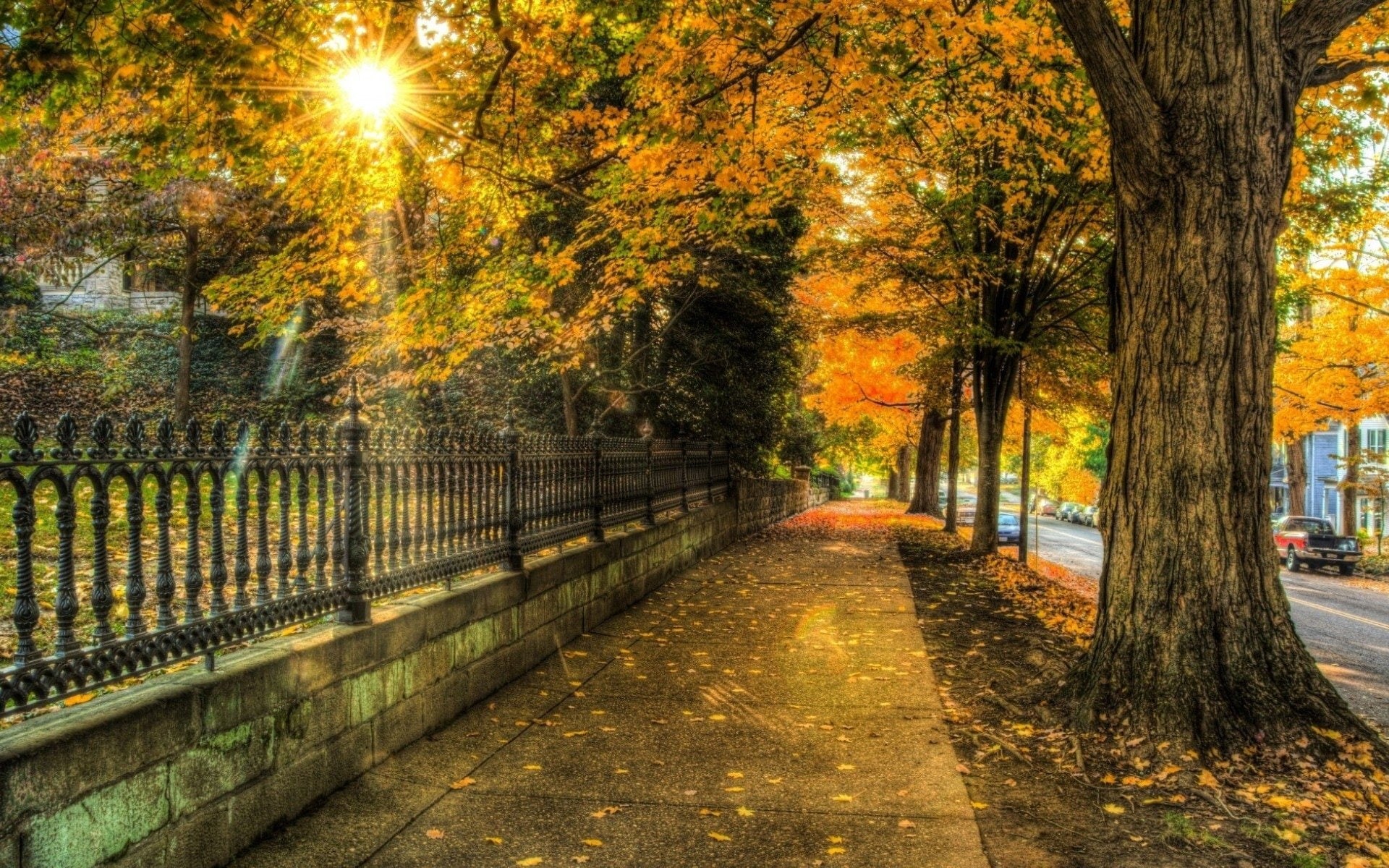 1080P, Boulevard, Street, Alley, Sunset, Sunshine, Fence, Man Made, Tree, Fall, HD Wallpaper