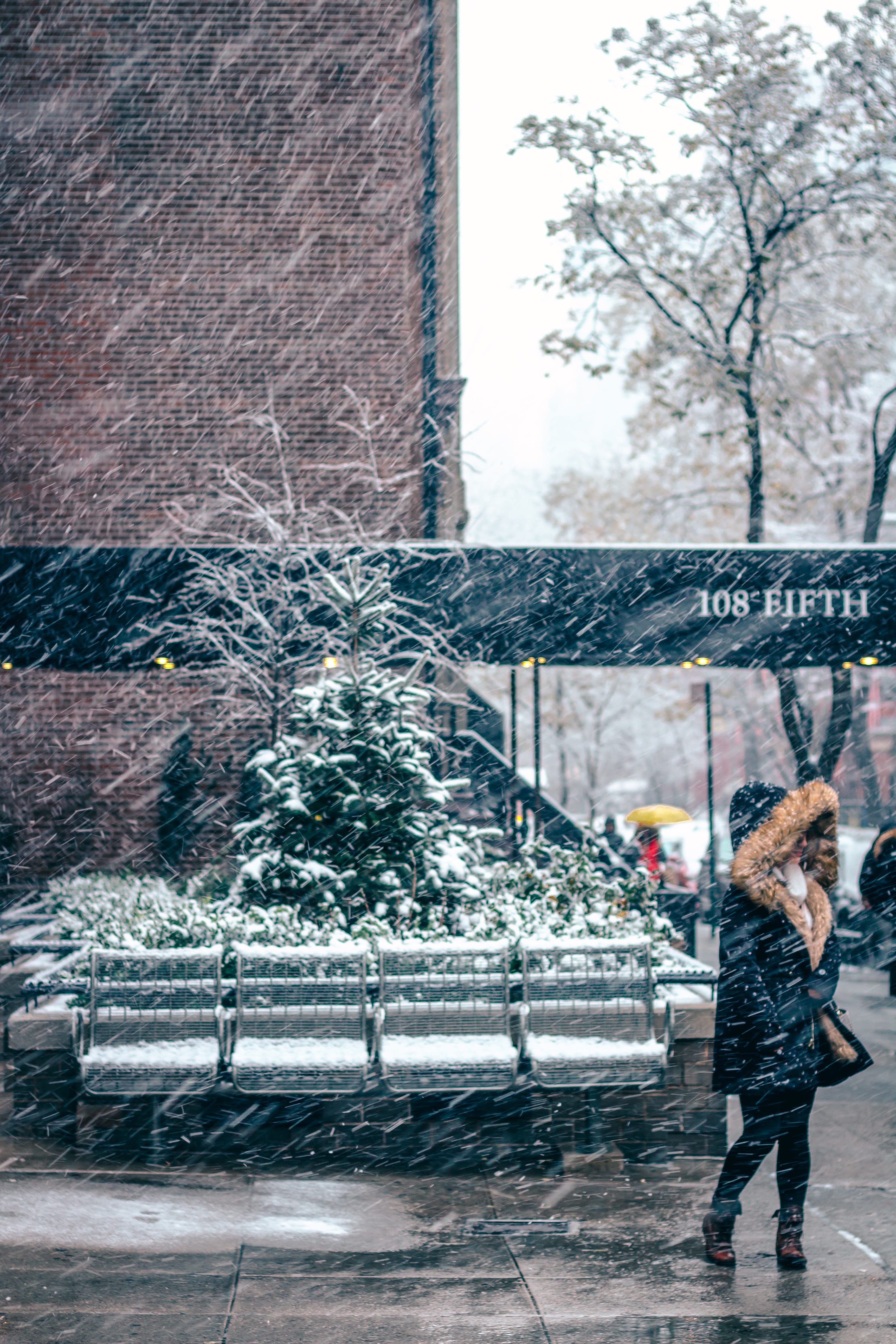 coat, city, architecture, built structure, storm, lined, denim, one person, standing, brick, footwear, human, jeans, ice, building exterior, blizzard, snow, Phone HD Wallpaper