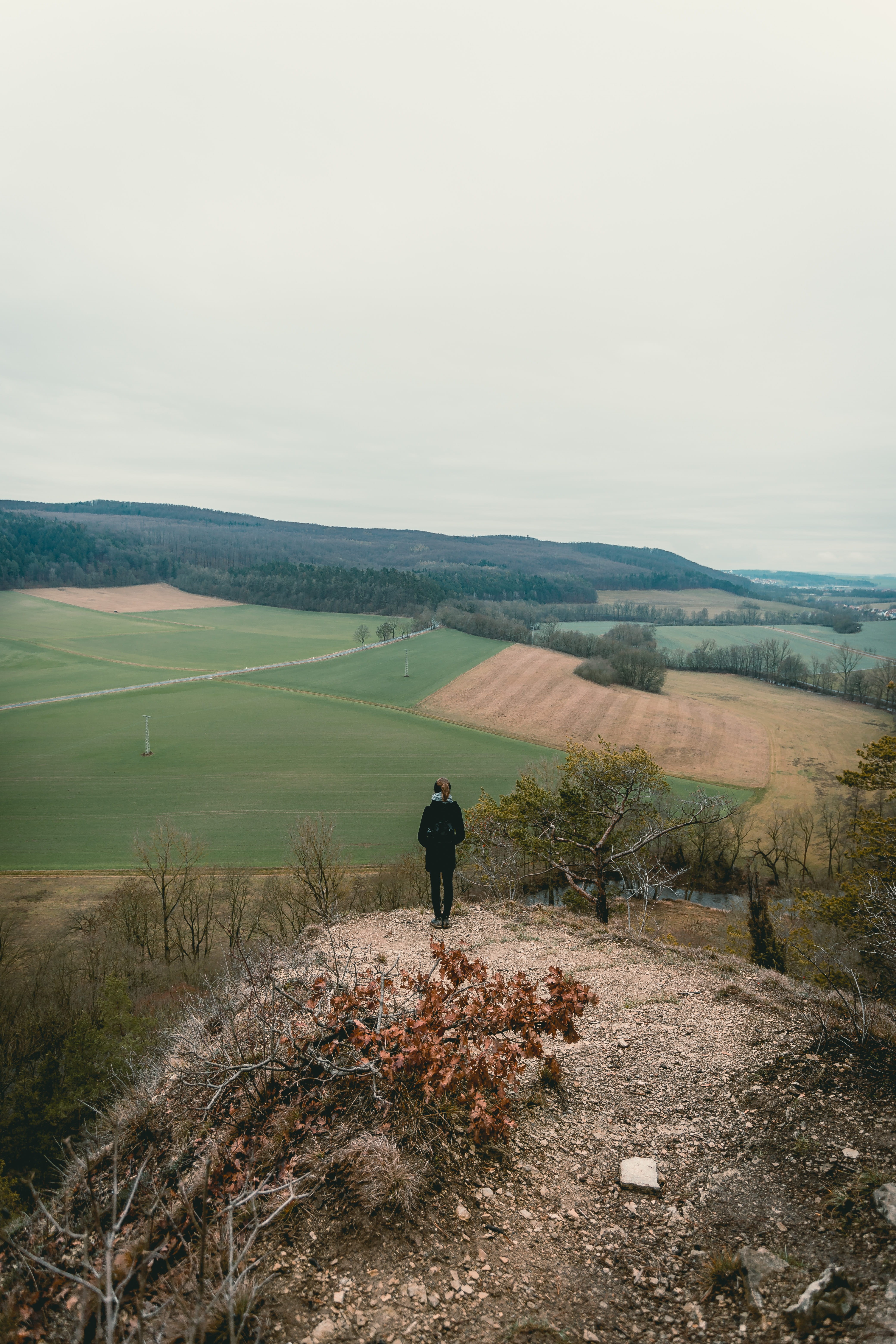 tranquil scene, girl, environment, friedrich, hill, sky, rear view, back, beauty in nature, 5K, person, non-urban scene, landscape, looking at view, david, Phone HD Wallpaper