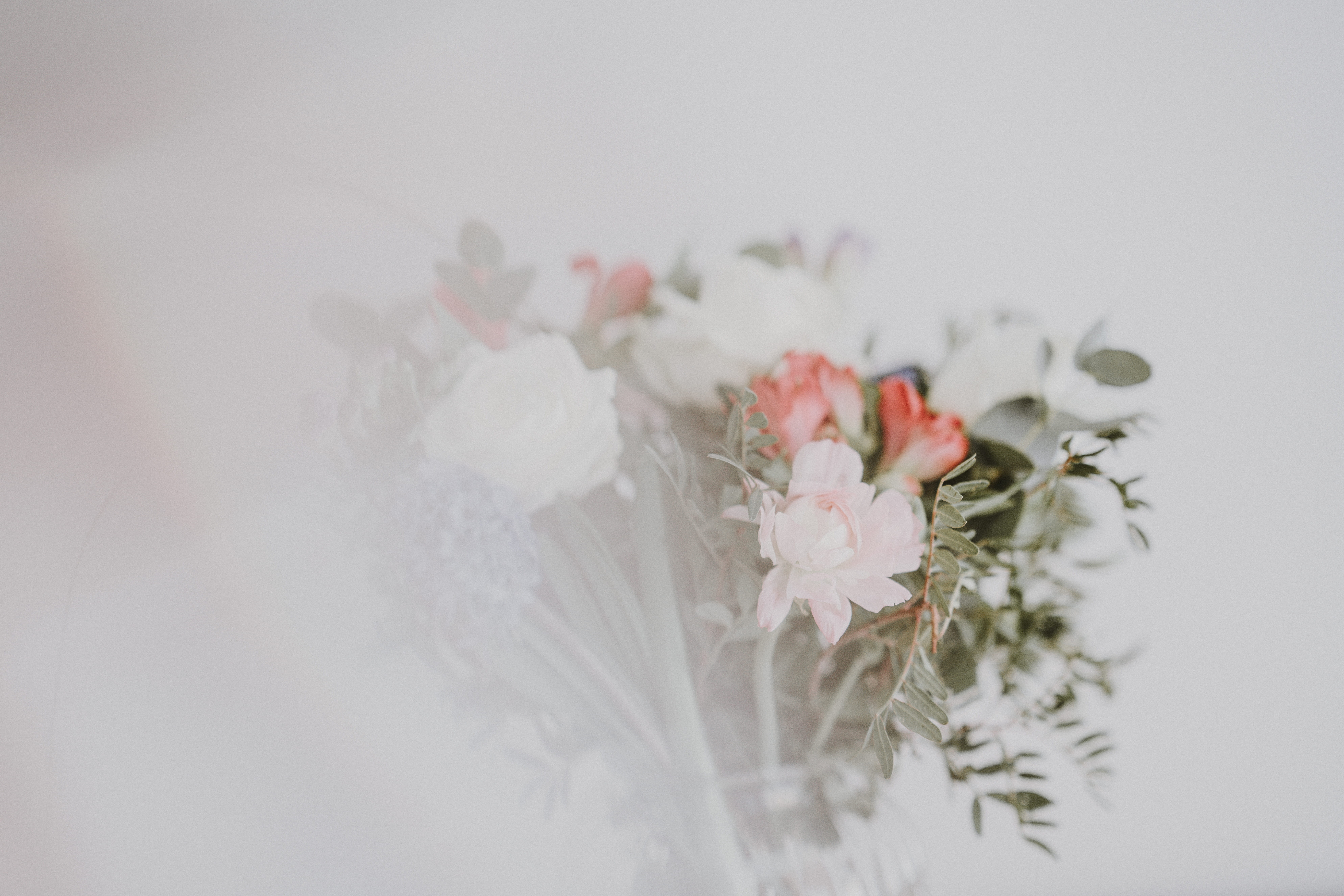 ornament, bunch of flowers, clothing, bouquet, white color, no people, apiaceae, plant, selective focus, flower arrangement, pink color, close-up, sleeve, HD Wallpaper