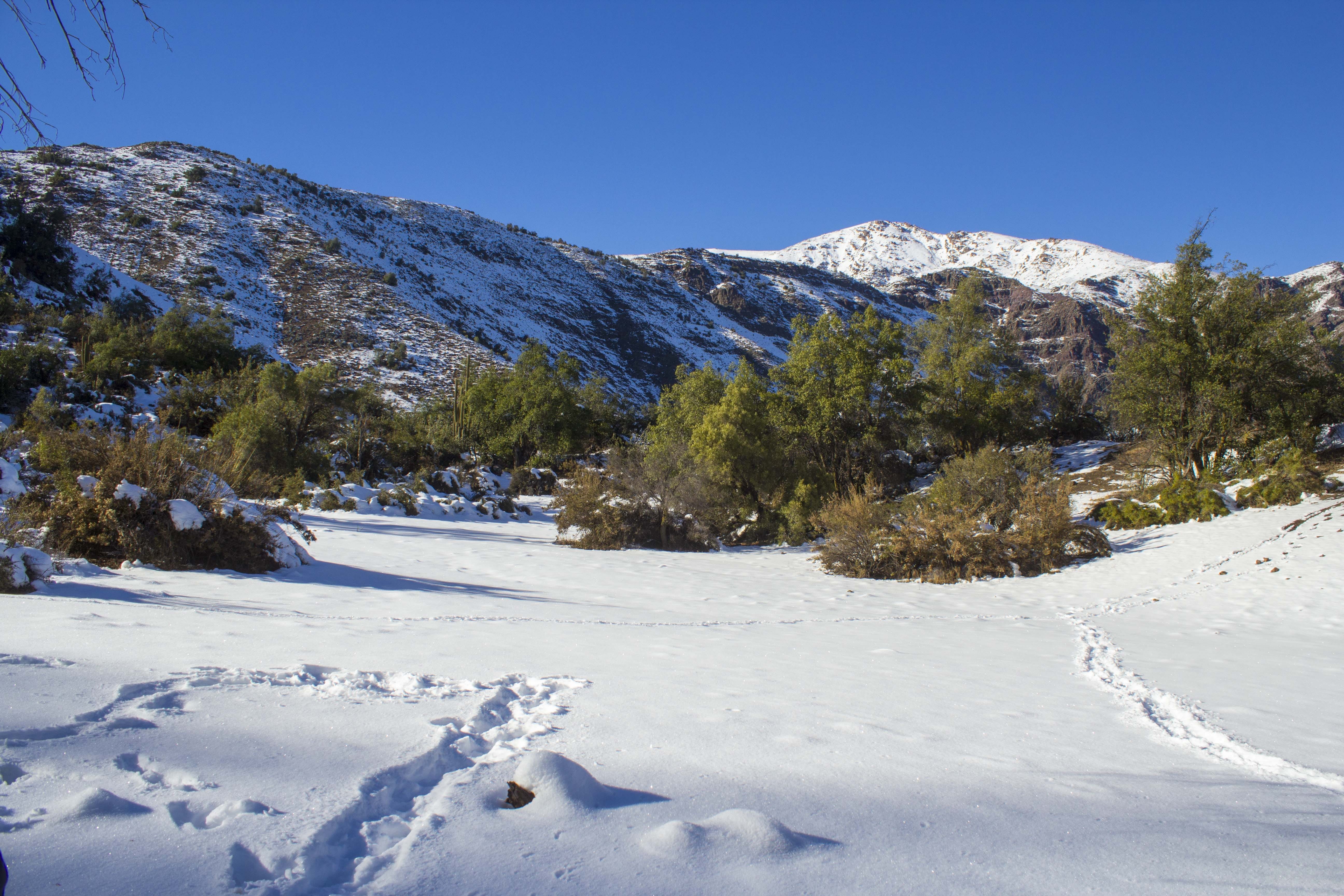 pine woodland, naturaleza, clear sky, tranquility, outdoors, andes, beauty in nature, landscape, sky, mountain, environment, no people, nature, 5K, paisajes, HD Wallpaper
