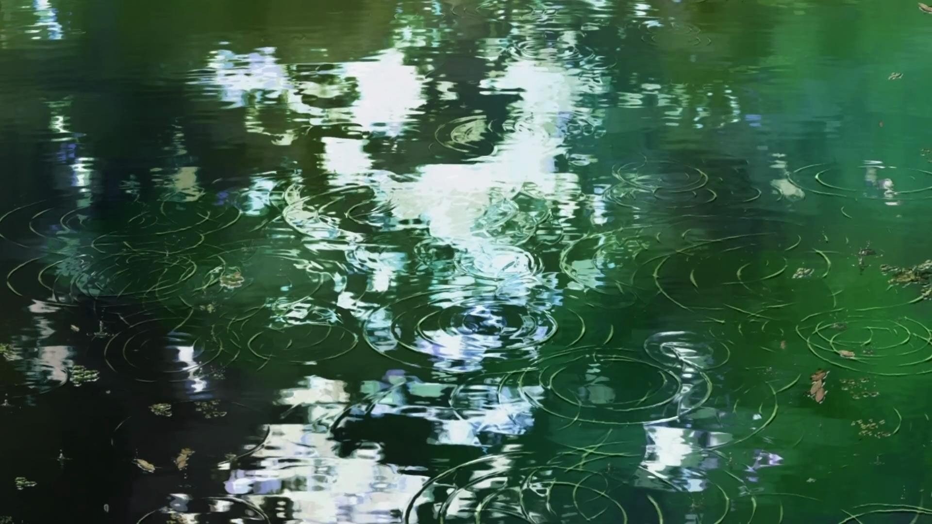 ripples, 1080P, garden, words, makoto, shinkai, water, anime, HD Wallpaper