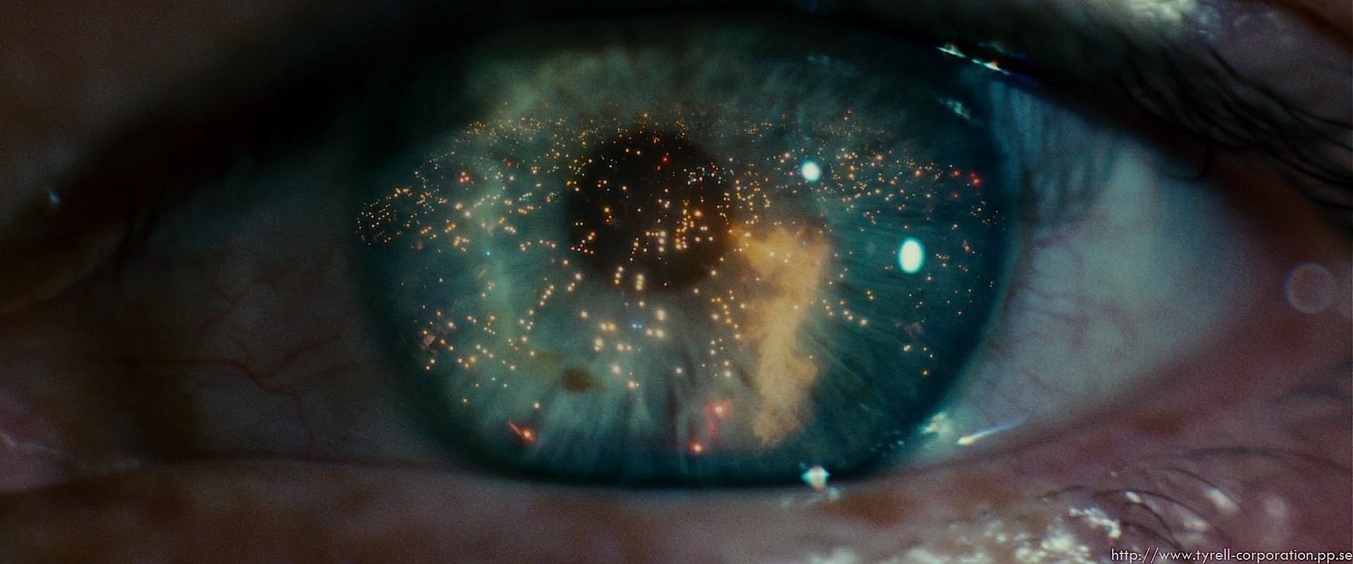 eyes, science fiction, 1080P, movies, Blade Runner, HD Wallpaper