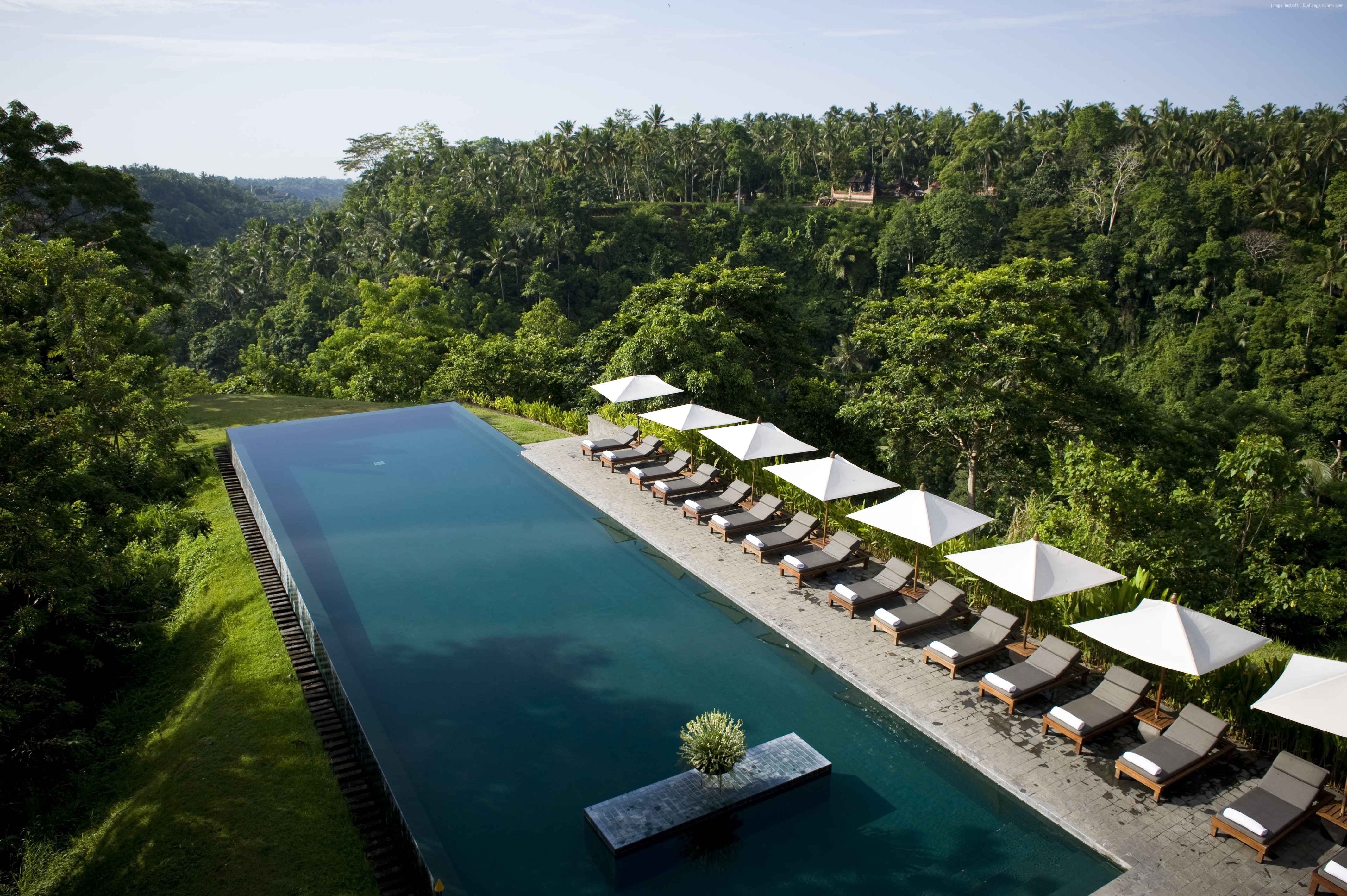 4K, sunbed, resort, forest, tourism, Alila Ubud, The best hotel pools 2017, Bali, vacation, travel, pool, Indonesia, HD Wallpaper