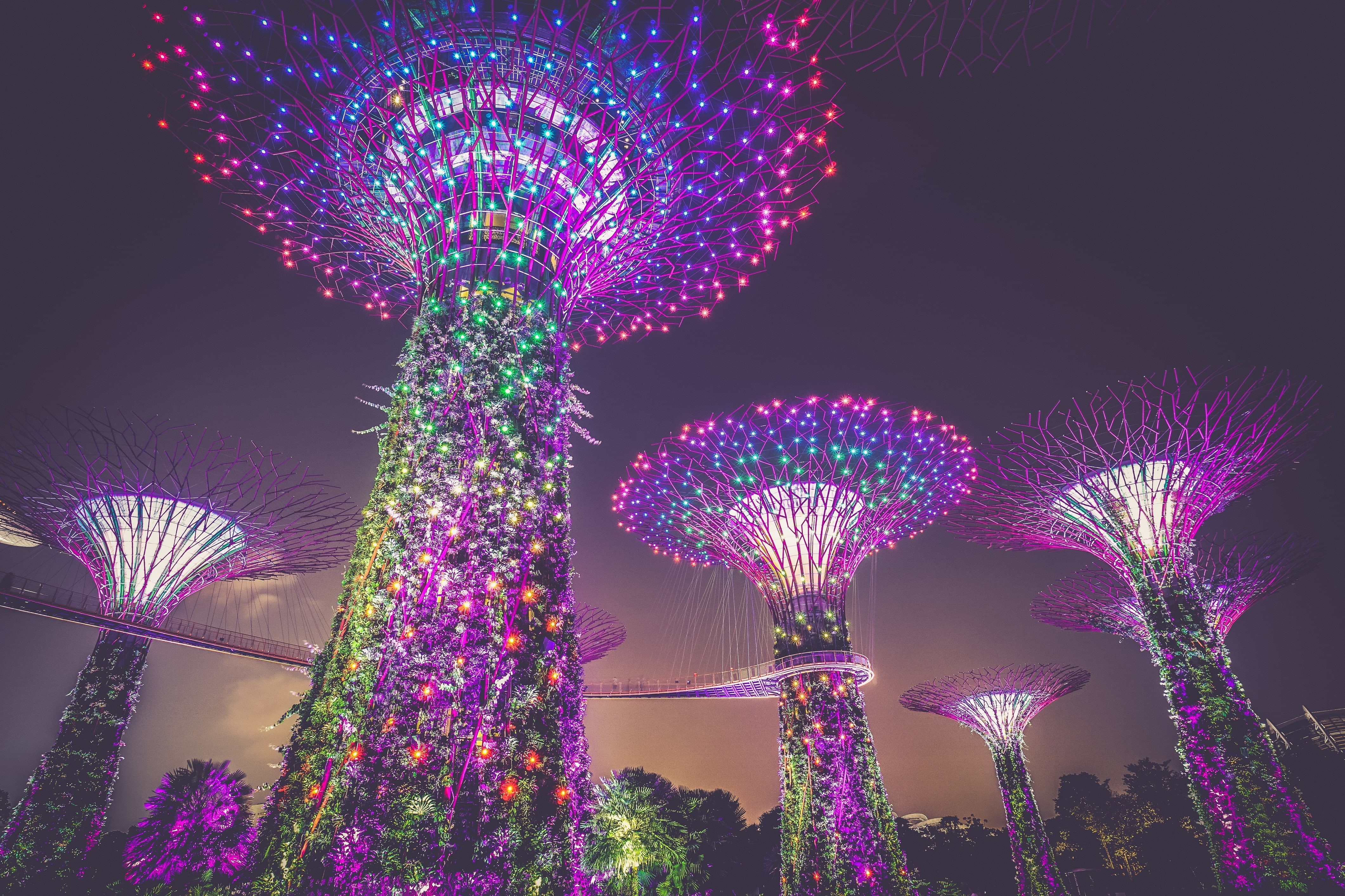 Illumination, Singapore, bay, nighttime, marina, Marina Bay, 4K, 4K, Lights, sands, Contemporary, Gardens by the Bay, HD Wallpaper