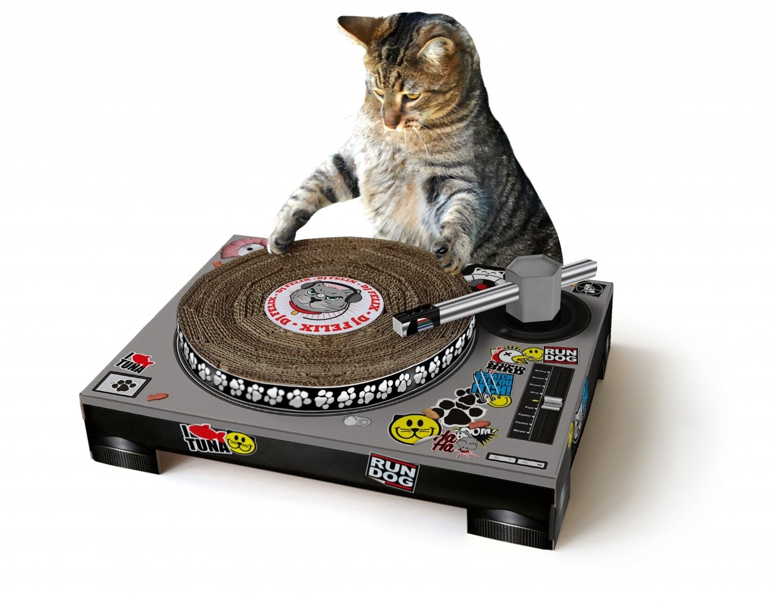 Disco, jockey, one animal, pop, no people, feline, sitting, cat, dance, communication, white background, domestic cat, cut out, indoors, 720P, EDM, hip, HD Wallpaper