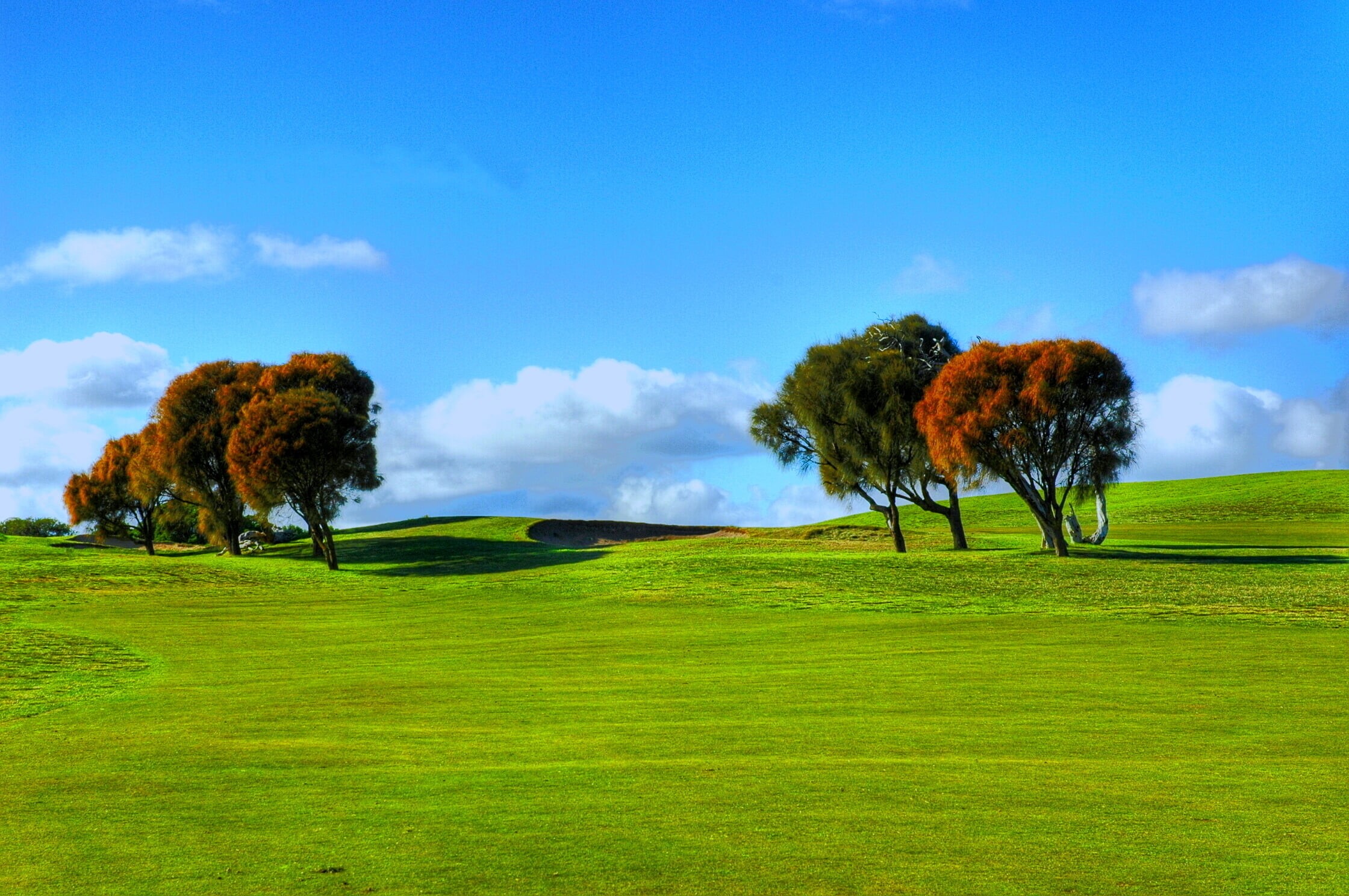blue, meadow, 1080P, top, outdoors, danger, melbourne  victoria, grass, sky, mornington, tree, f25, cups, hdr, peninsular, bunkers, summer, orange, landscape, HD Wallpaper