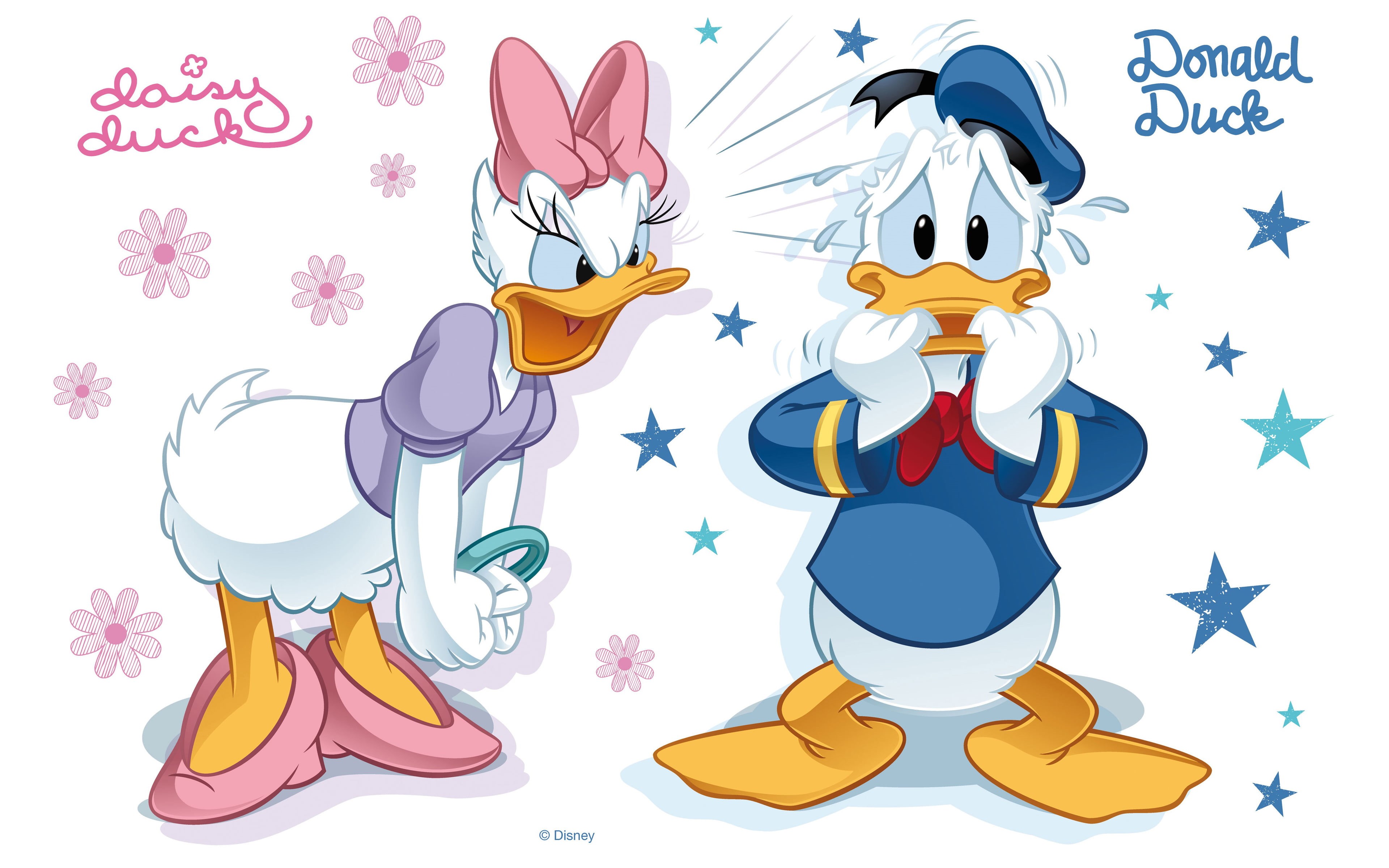 moments, donald, animal wing, no people, disney, creativity, backgrounds, close-up, 4K, flower, representation, cartoon, tense, butterfly - insect, art and craft, HD Wallpaper