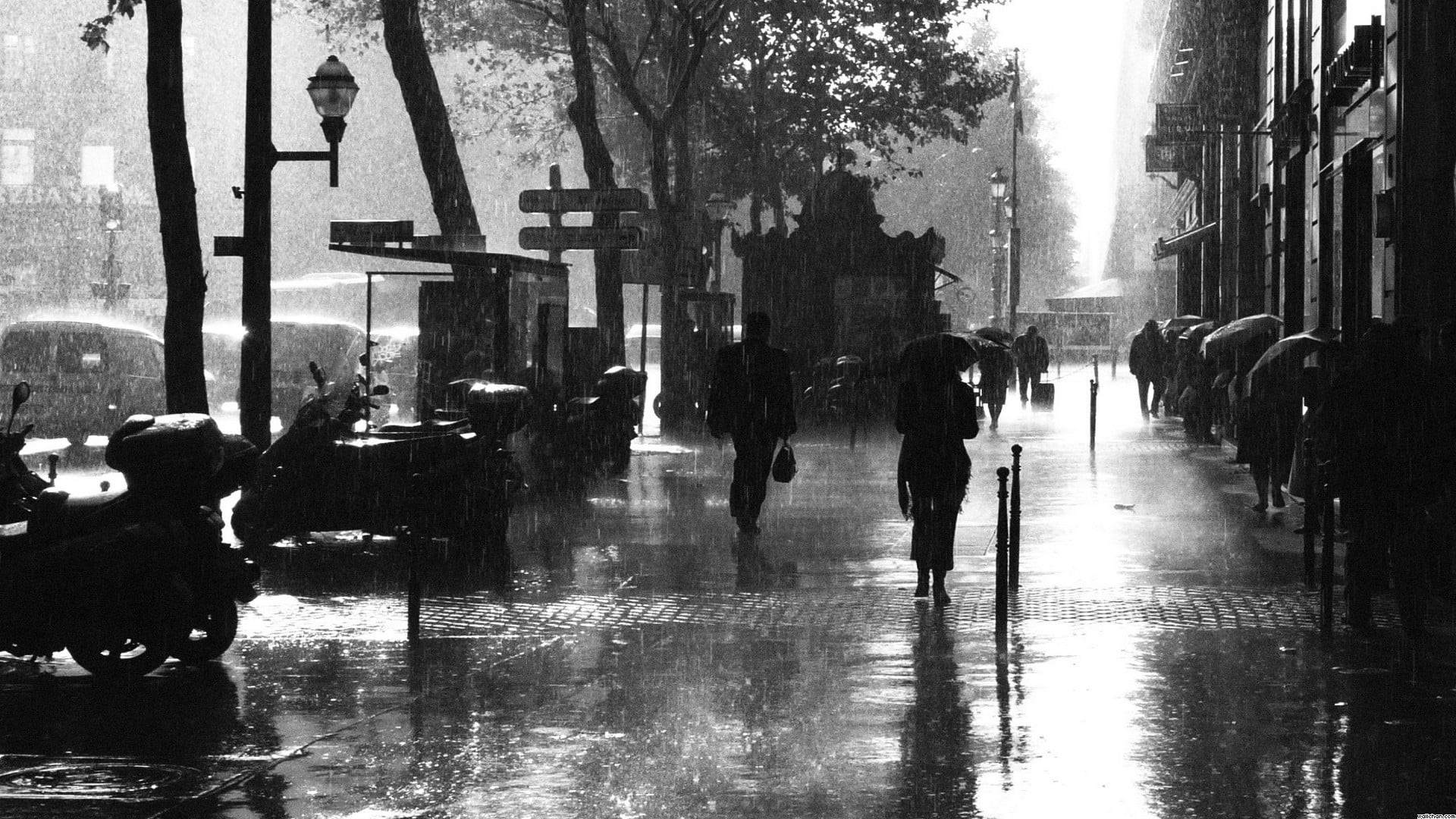 day, building exterior, outdoors, walking, architecture, rain, people, street, city, noir, umbrella, real people, 1080P, city life, lifestyles, group of people, HD Wallpaper