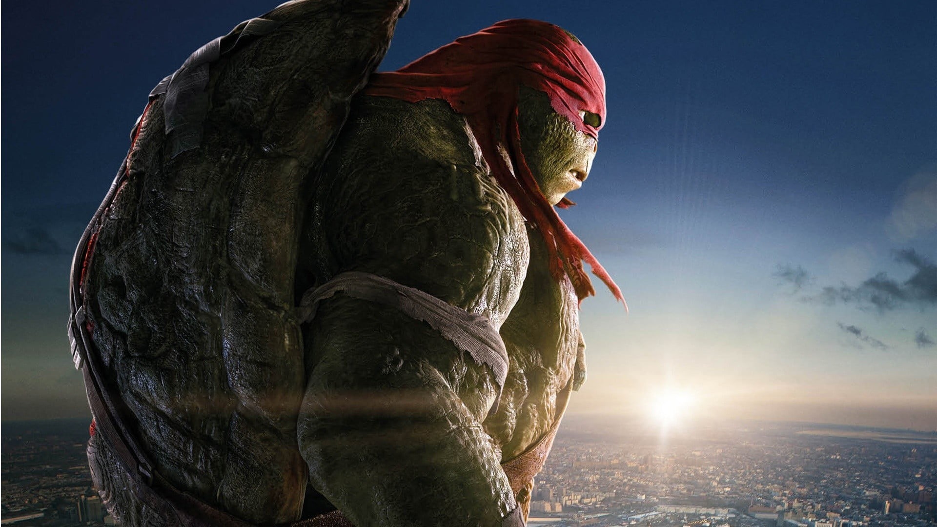 people, Teenage Mutant Ninja Turtles, human body part, religion, sunset, art and craft, representation, one animal, statue, adult, mouth, day, outdoors, HD Wallpaper