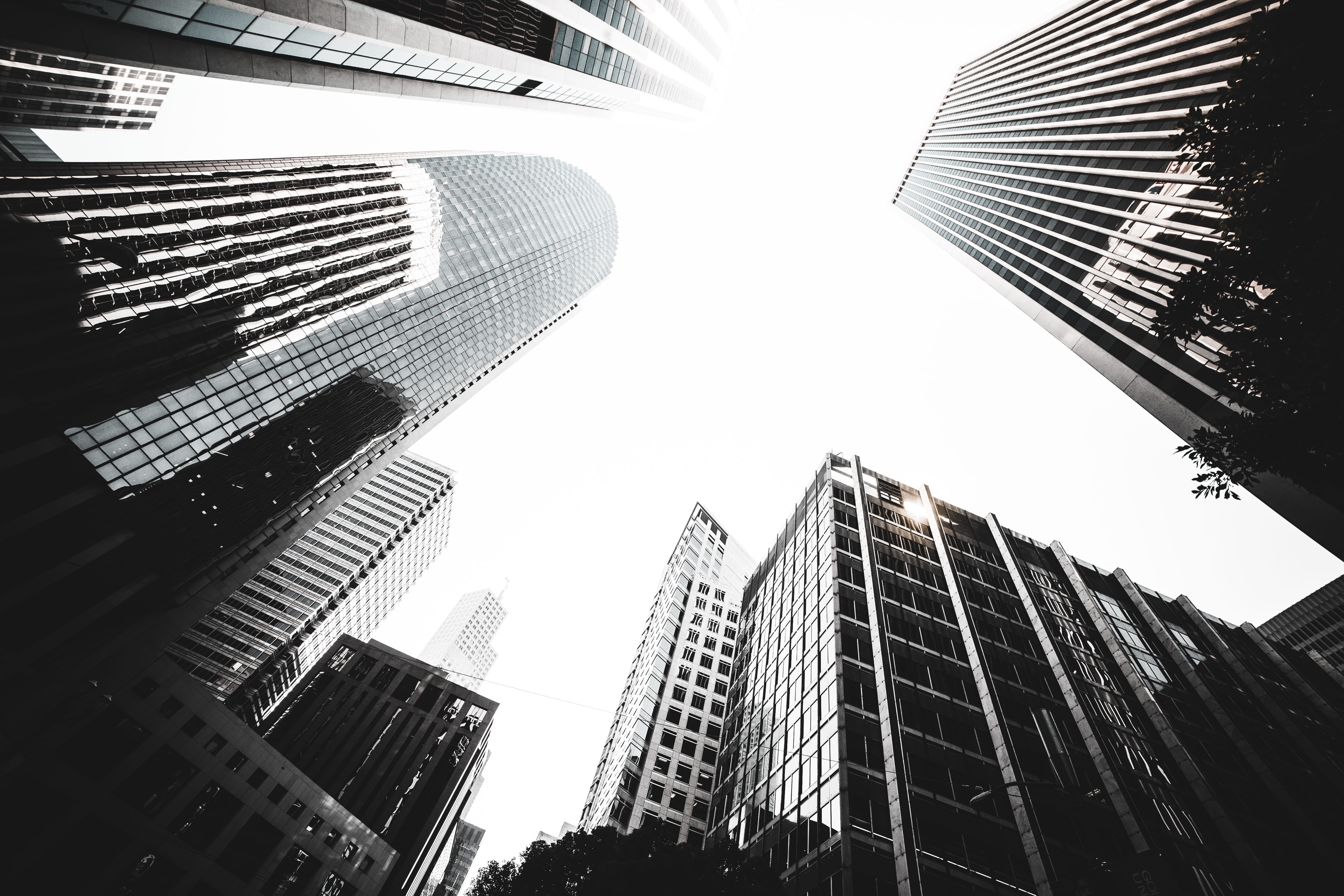 directly below, office building exterior, cityscape, city, office, skyscrapers, building exterior, money, 4K, edit, no people, big city, view, modern, HD Wallpaper