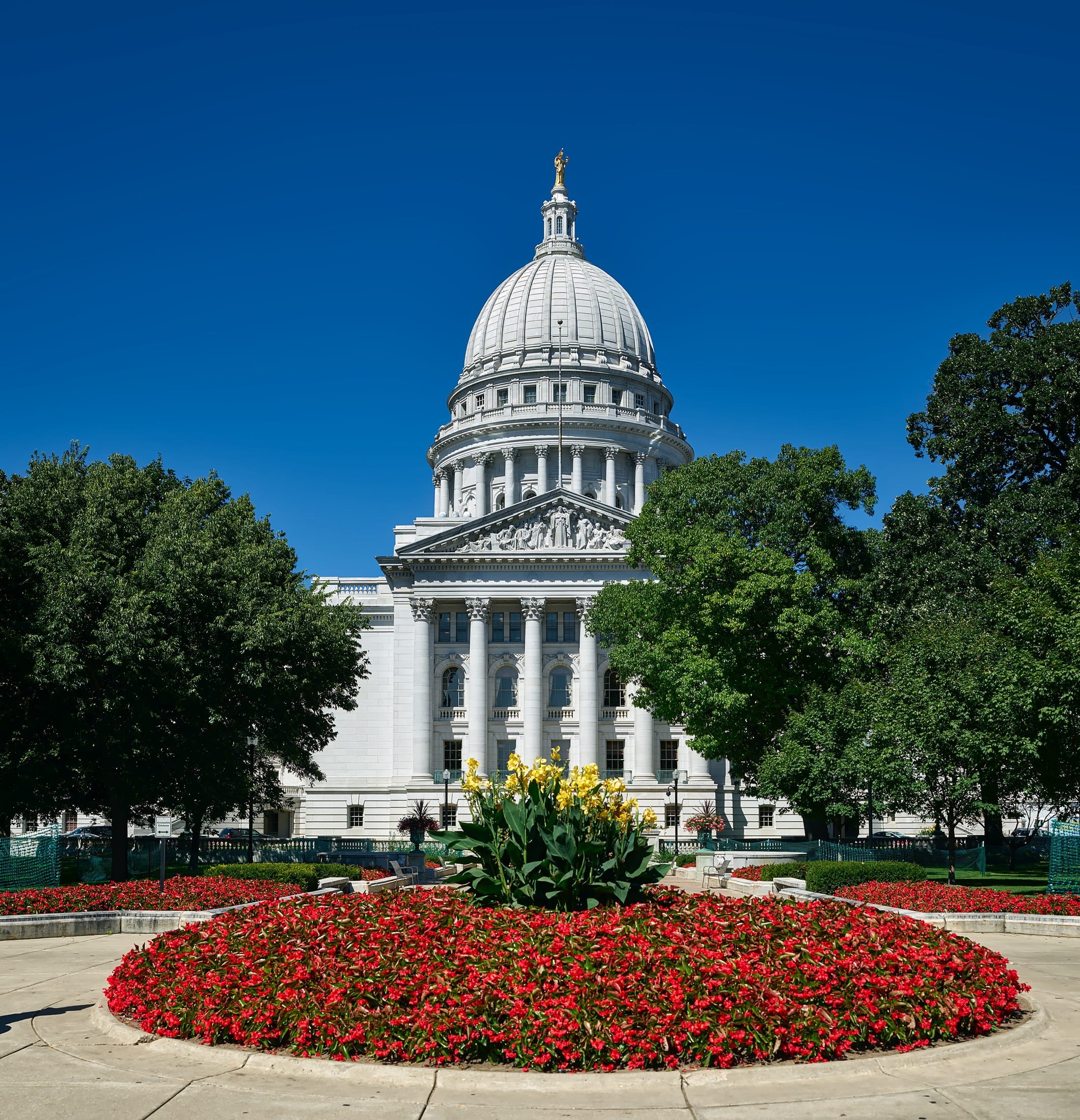flowers, politics, madison, Capitol, state capitol, famous Place, no People, uSA, landmark, legislation, clear sky, city, united States Senate, dome, 1080P, Phone HD Wallpaper