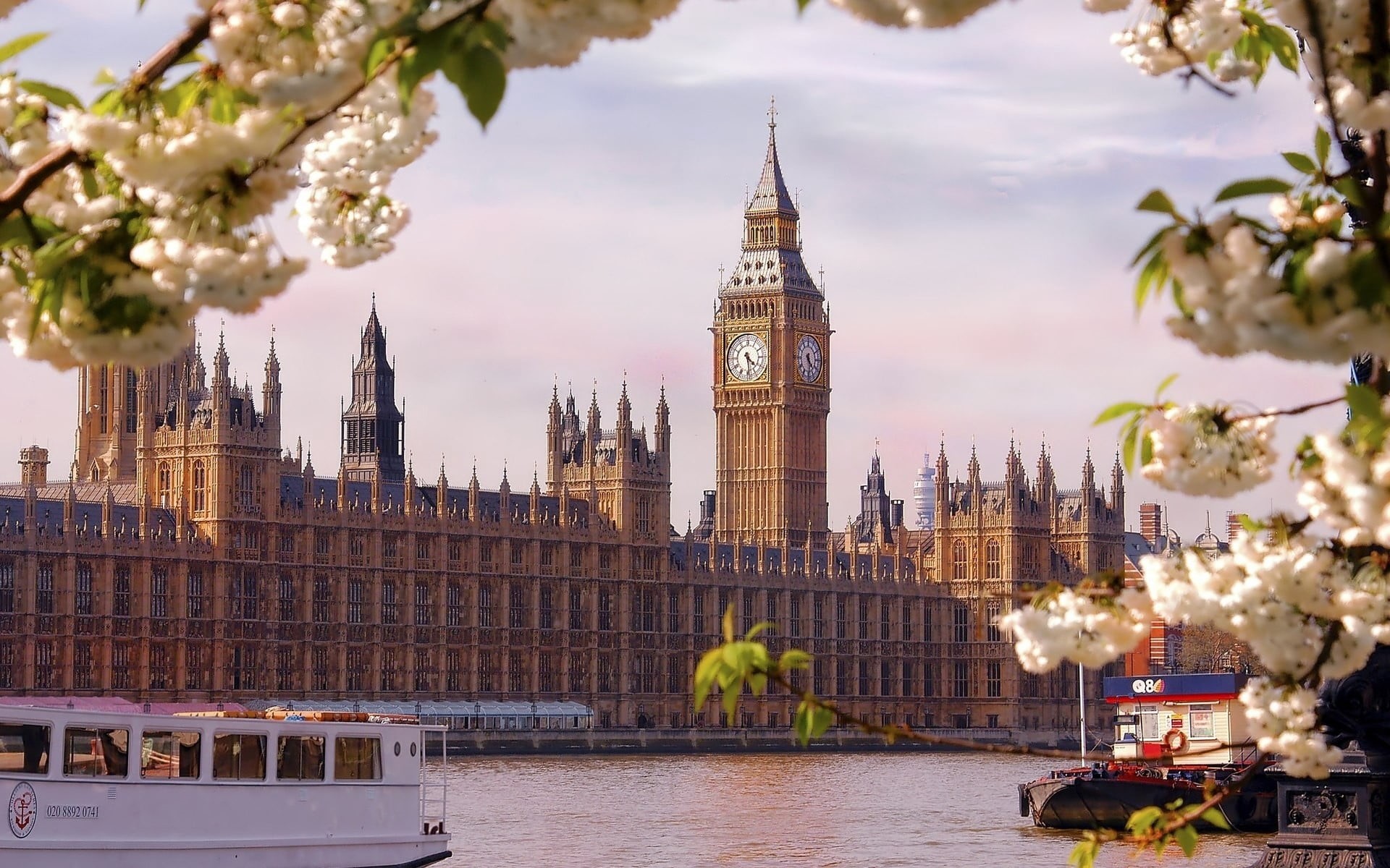 cloud - sky, night, tree, urban Scene, clock, tourism, london, 1080P, government, built Structure, capital Cities, europe, british Culture, travel, city Of Westminster, HD Wallpaper