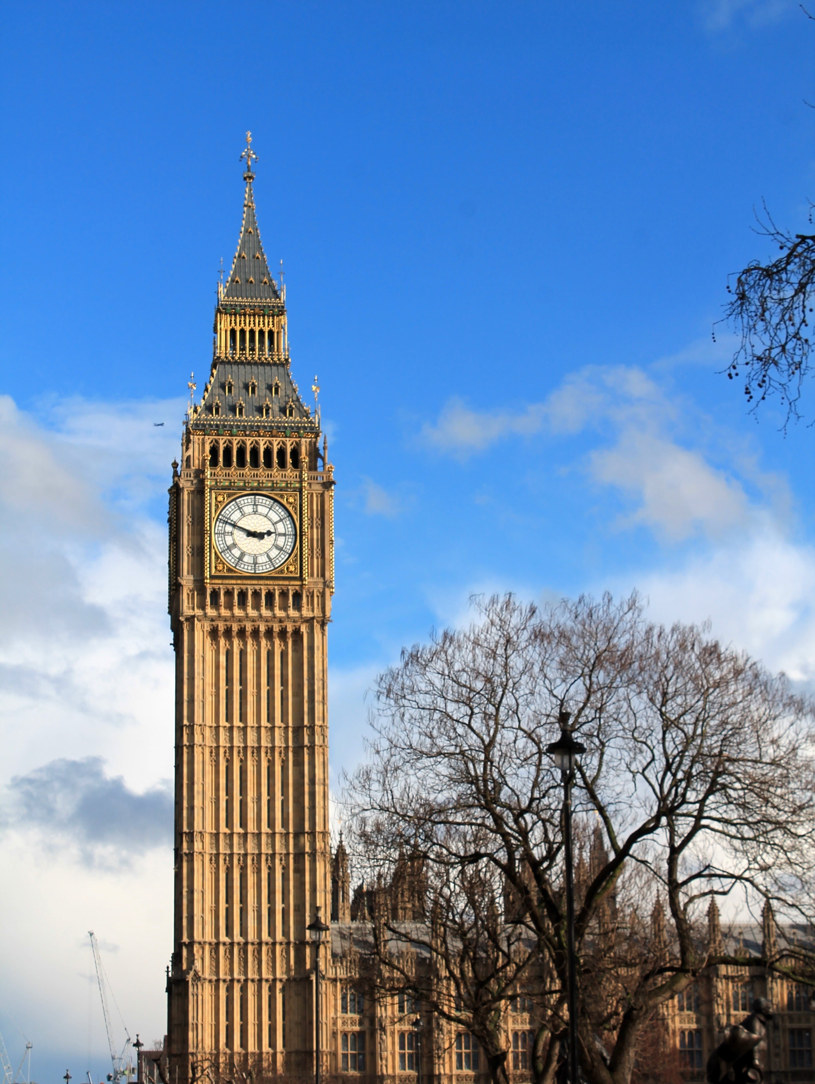 ben, attraction, bare tree, big ben, united kingdom, building, watch, daytime, travel, no people, cloud - sky, tall - high, england, big, tourism, low angle view, Phone HD Wallpaper