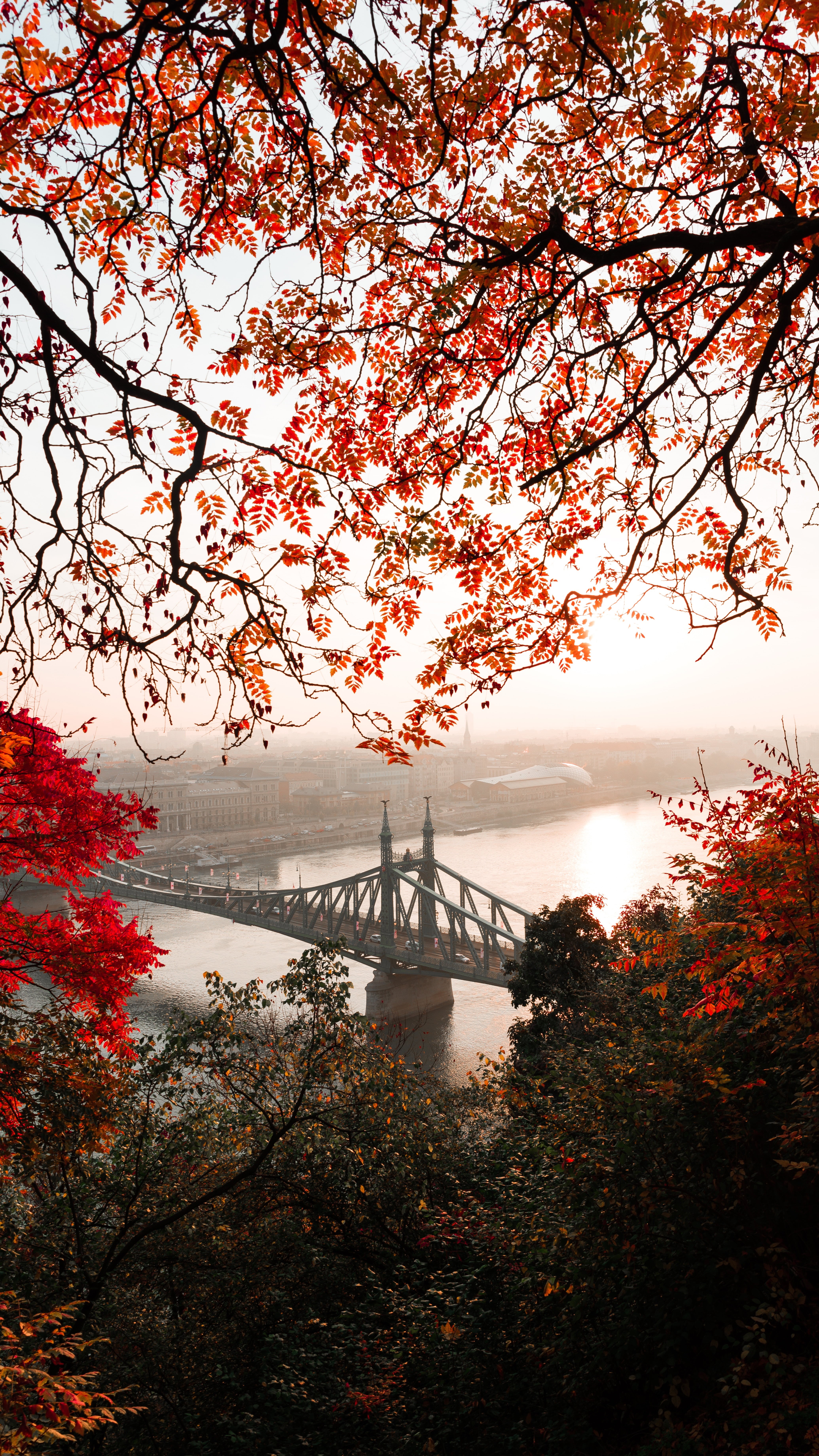 red, architecture, urban Skyline, tranquility, connection, new York City, budapest, built Structure, branch, leaf, cherry blossom, cityscape, scenics, outdoors, Phone HD Wallpaper