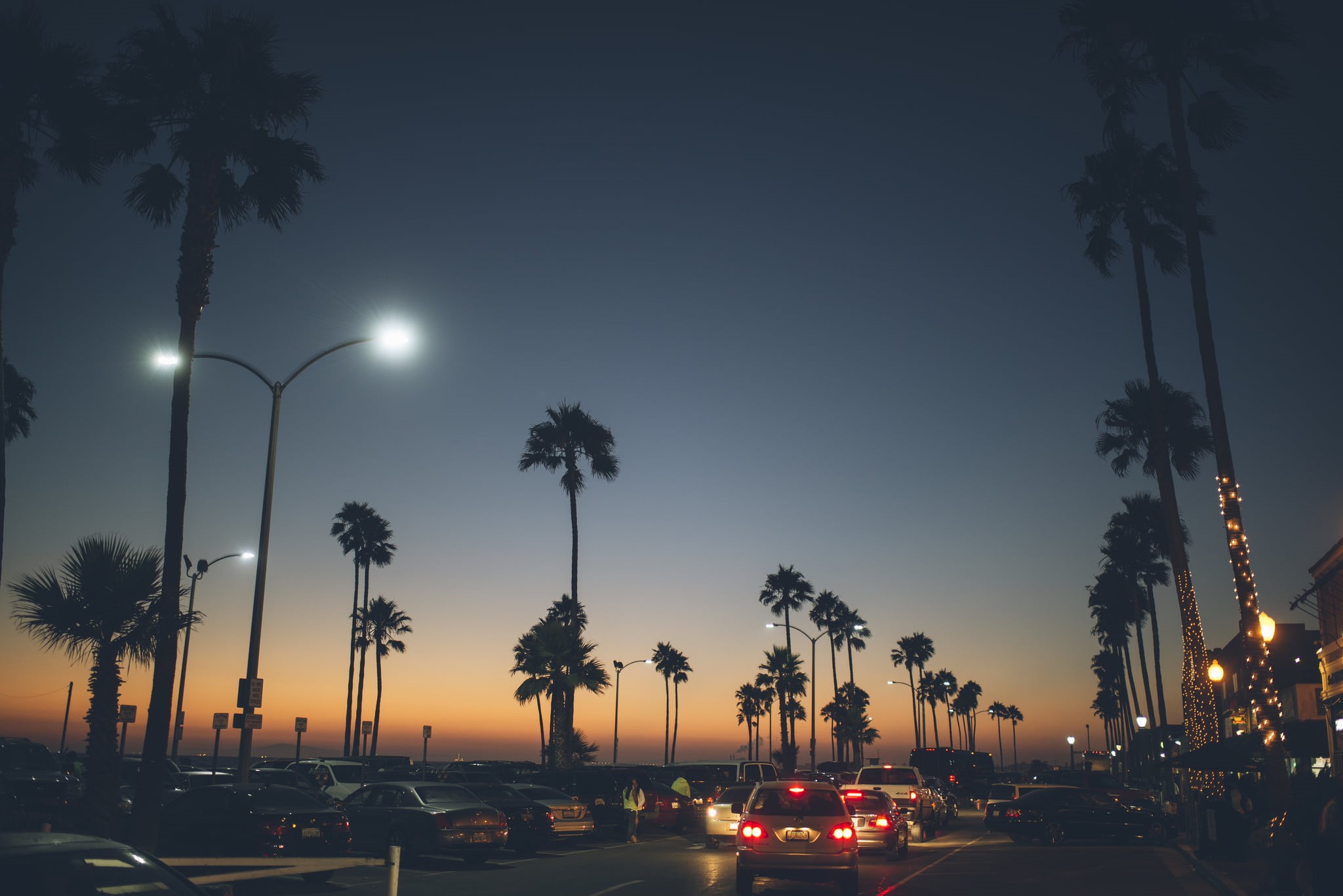 dusk, the city, california, tropical tree, 1080P, illuminated, the evening, transportation, tree, color, mode of transportation, tropical climate, no people, HD Wallpaper