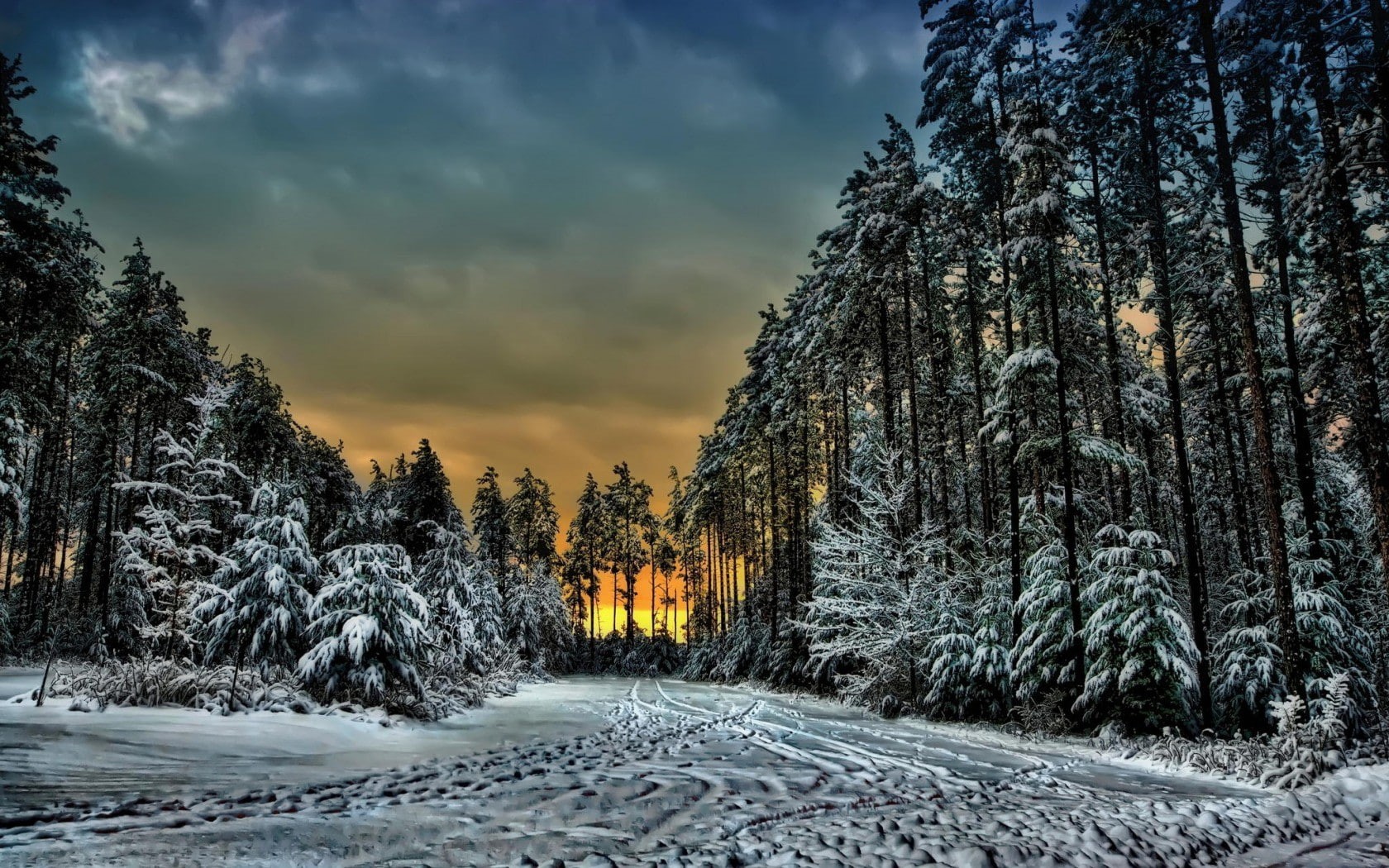 Sunset, 720P, Trails, Canada, Ontario, trees, winter, forest, snow, clouds, HD Wallpaper